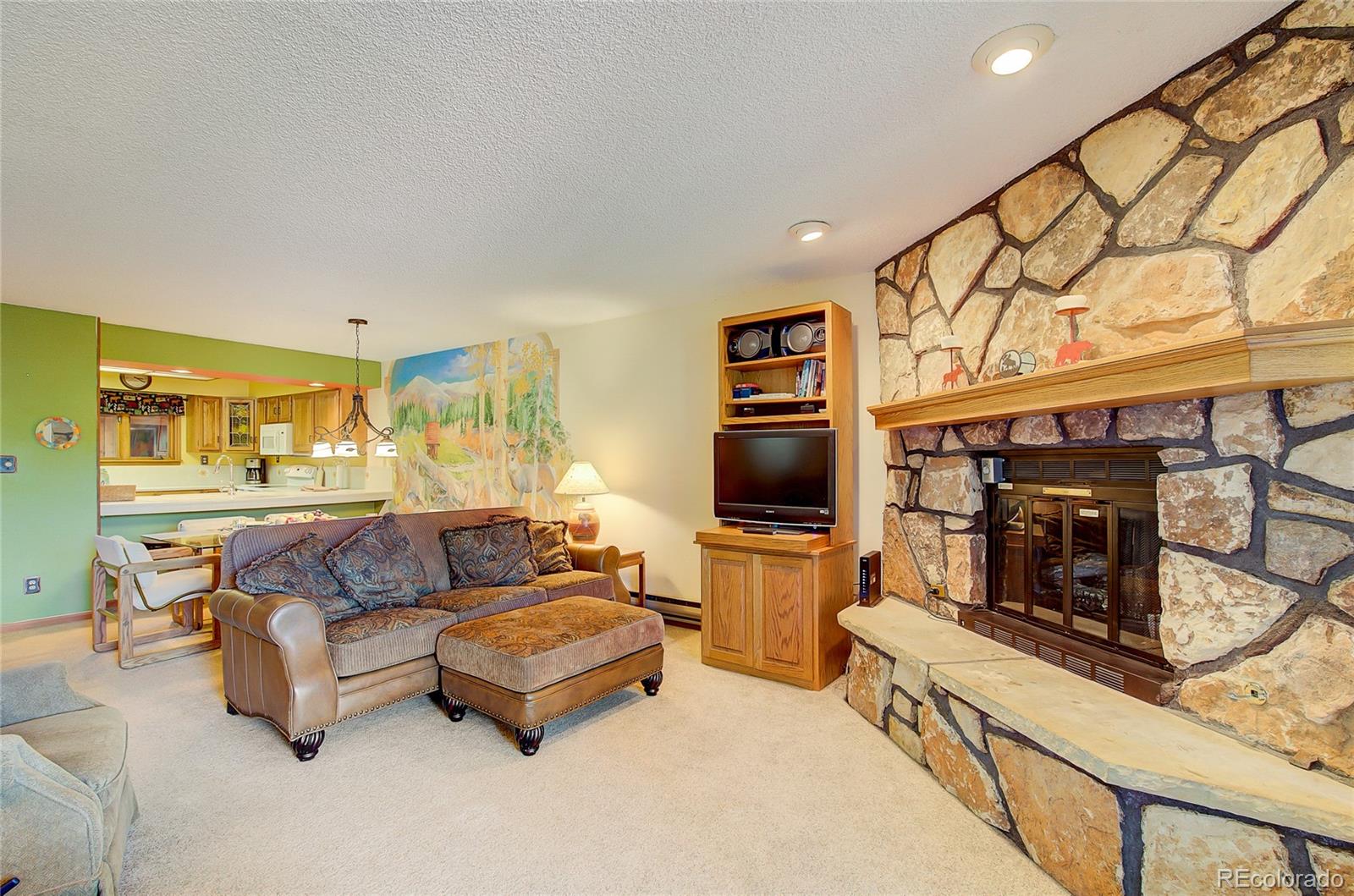 MLS Image #7 for 530 s french street 205,breckenridge, Colorado