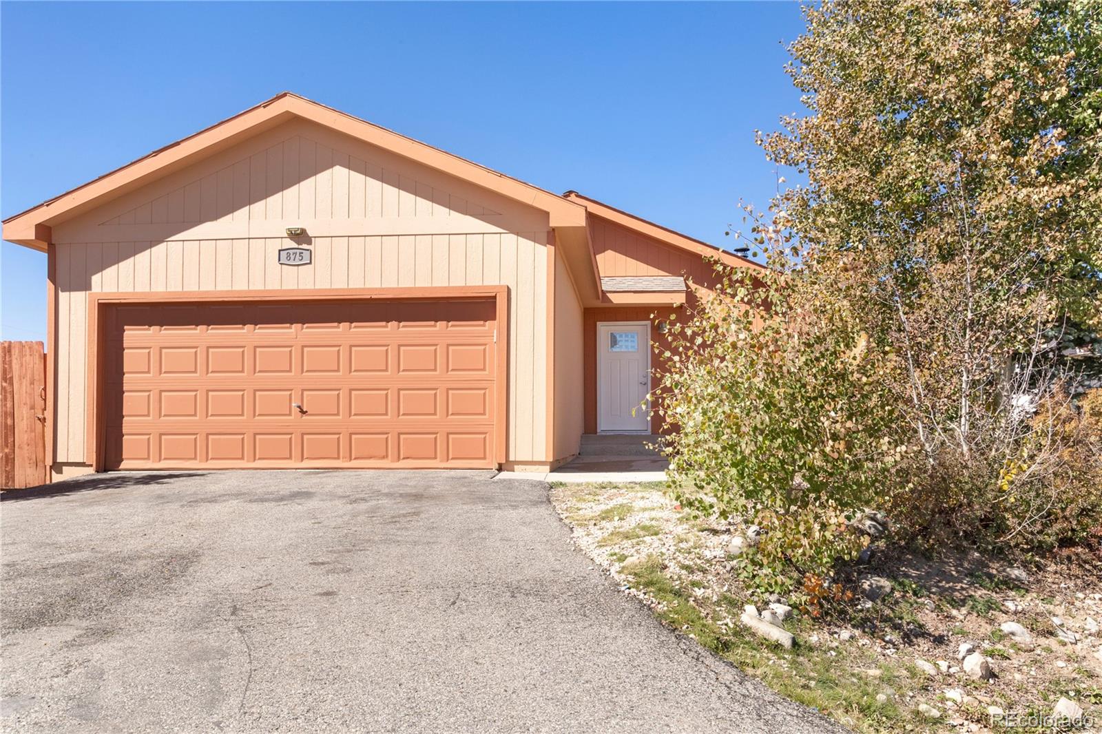 MLS Image #1 for 875  trout creek drive,fairplay, Colorado