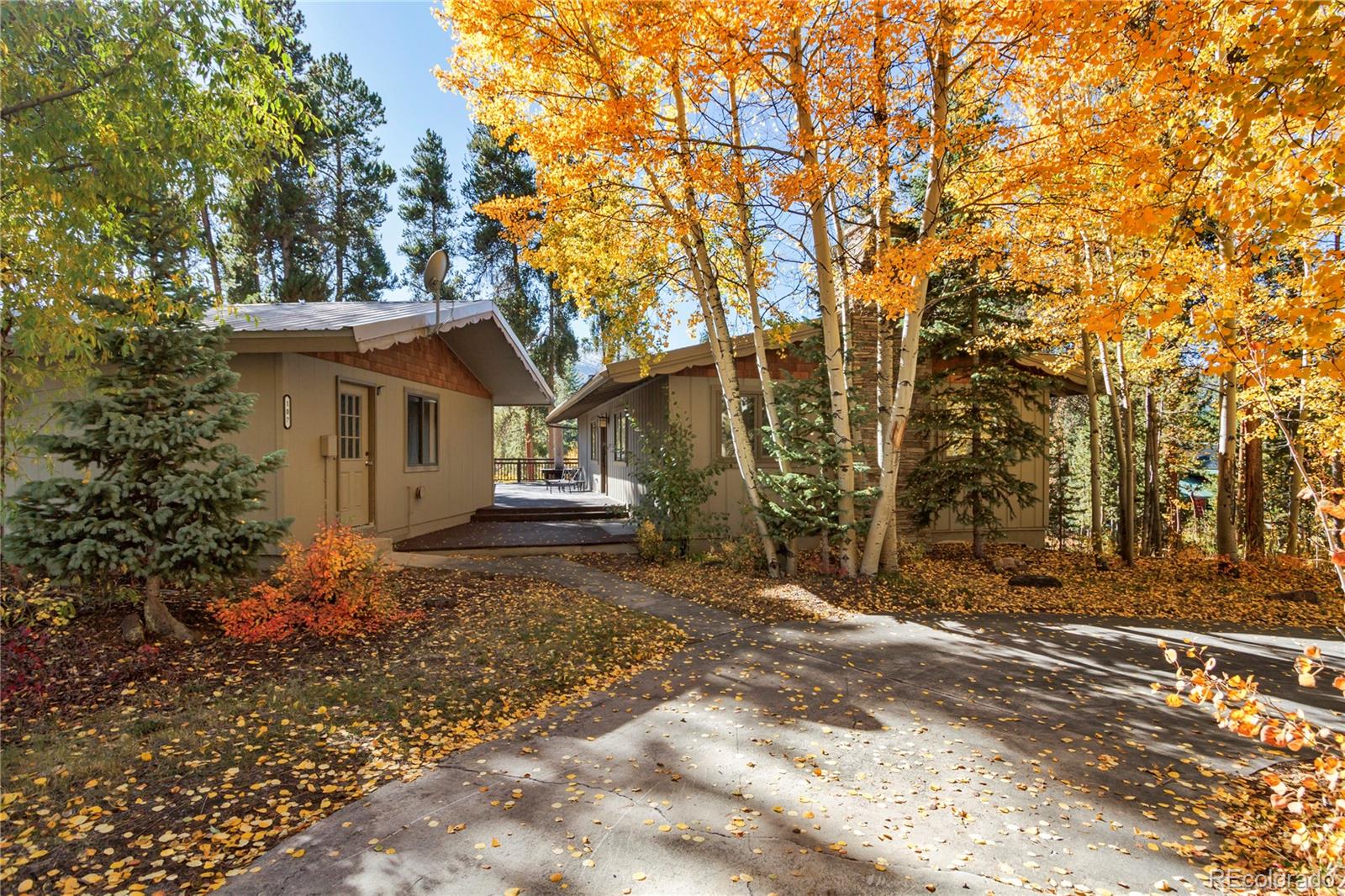 MLS Image #0 for 107 n pine street,breckenridge, Colorado