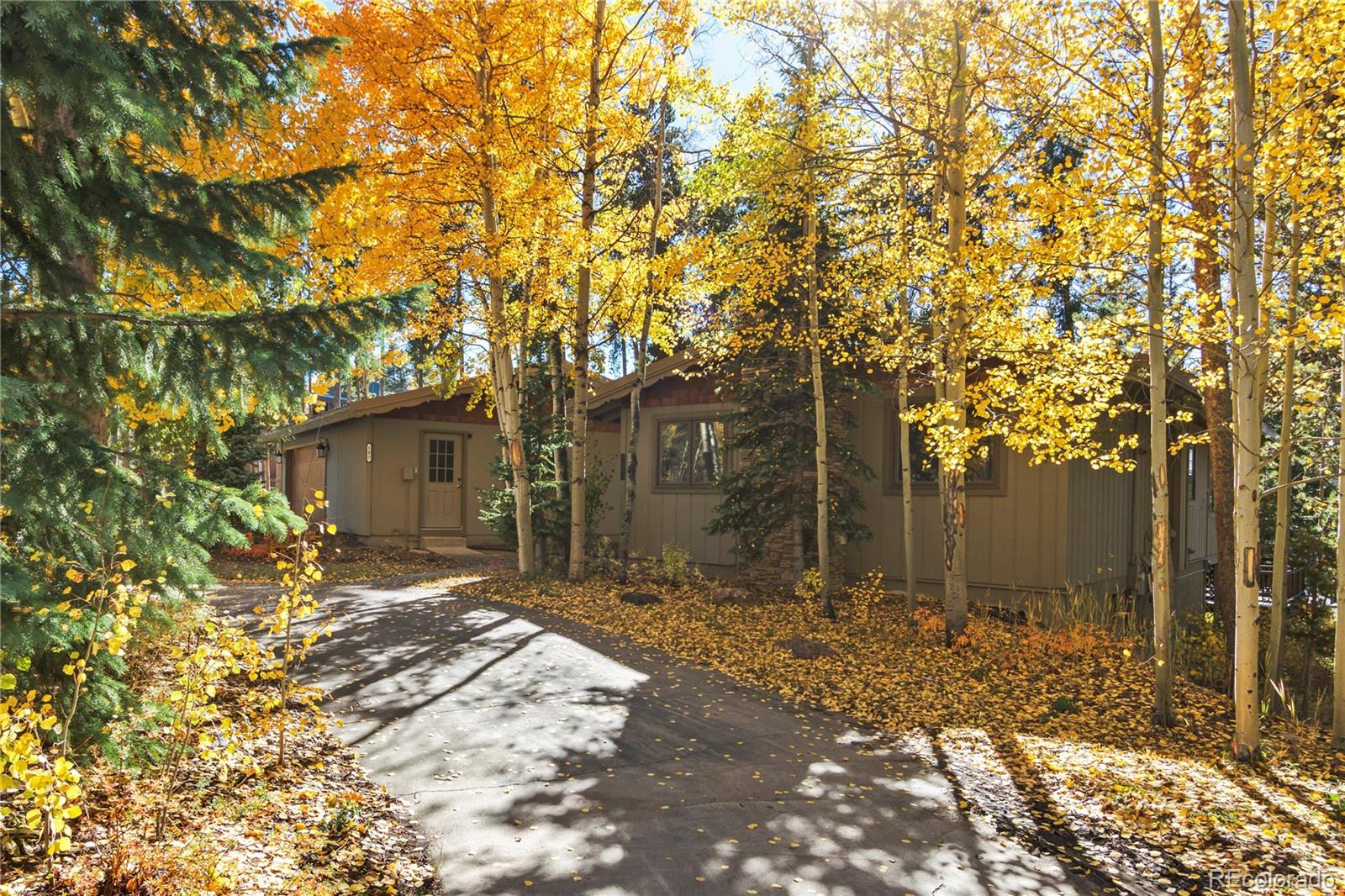 MLS Image #10 for 107 n pine street,breckenridge, Colorado