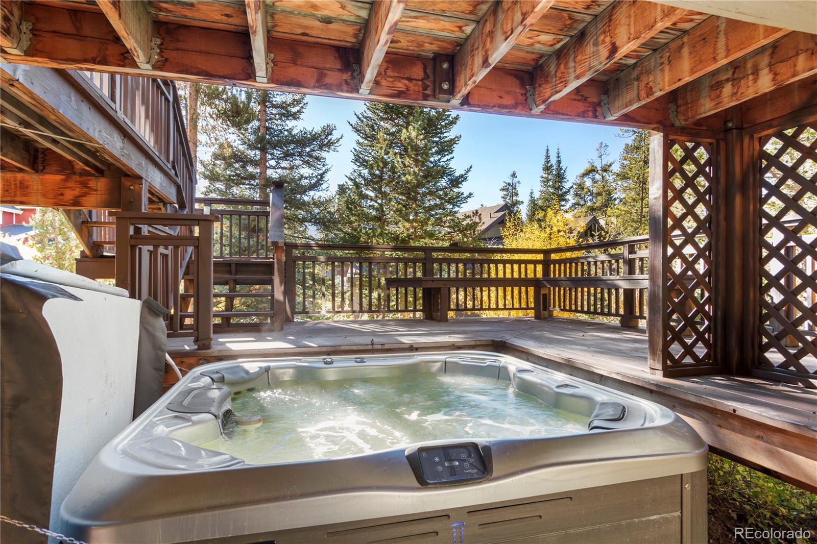 MLS Image #32 for 107 n pine street,breckenridge, Colorado