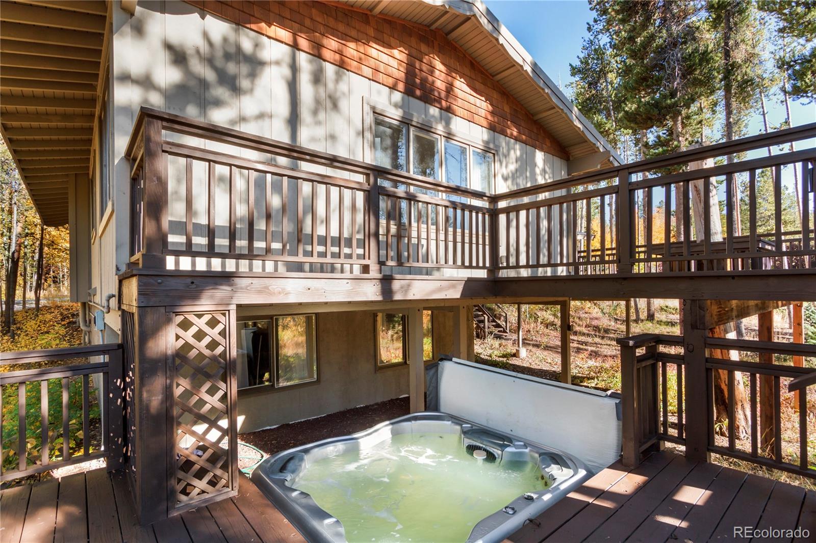 MLS Image #33 for 107 n pine street,breckenridge, Colorado