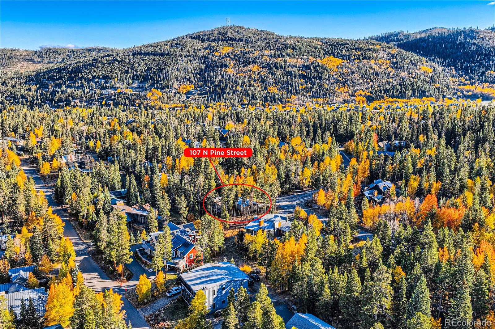 MLS Image #6 for 107 n pine street,breckenridge, Colorado