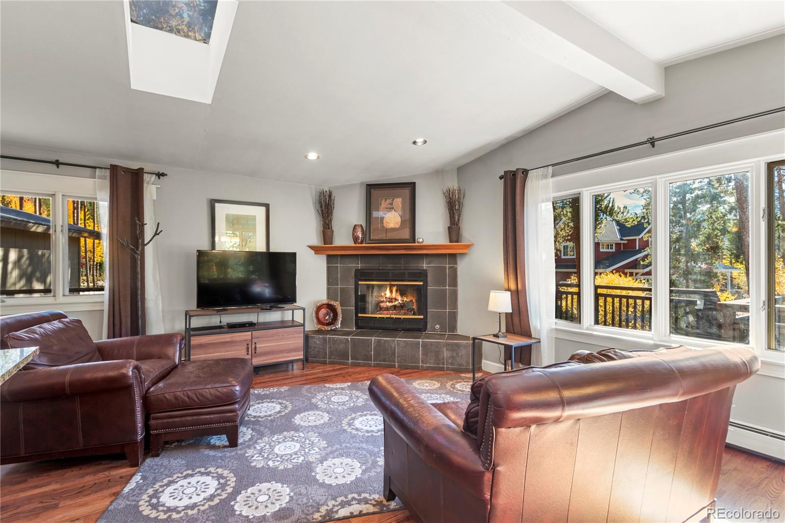 MLS Image #8 for 107 n pine street,breckenridge, Colorado