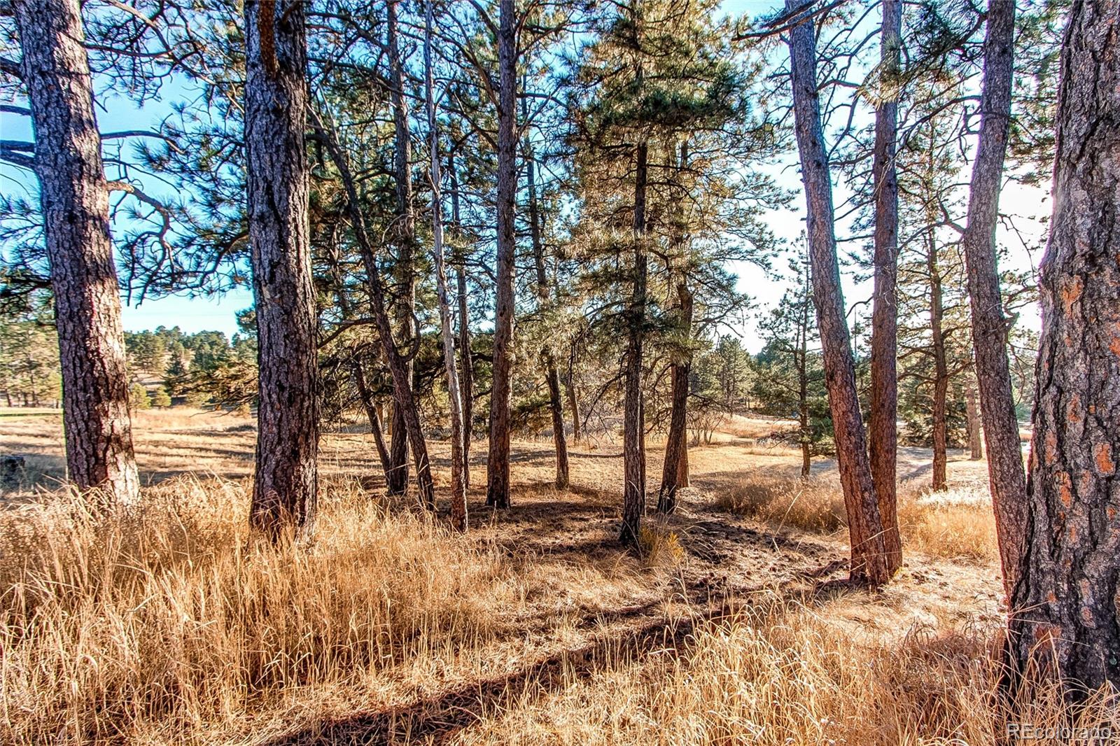 MLS Image #10 for 12191  evergreen trail,parker, Colorado