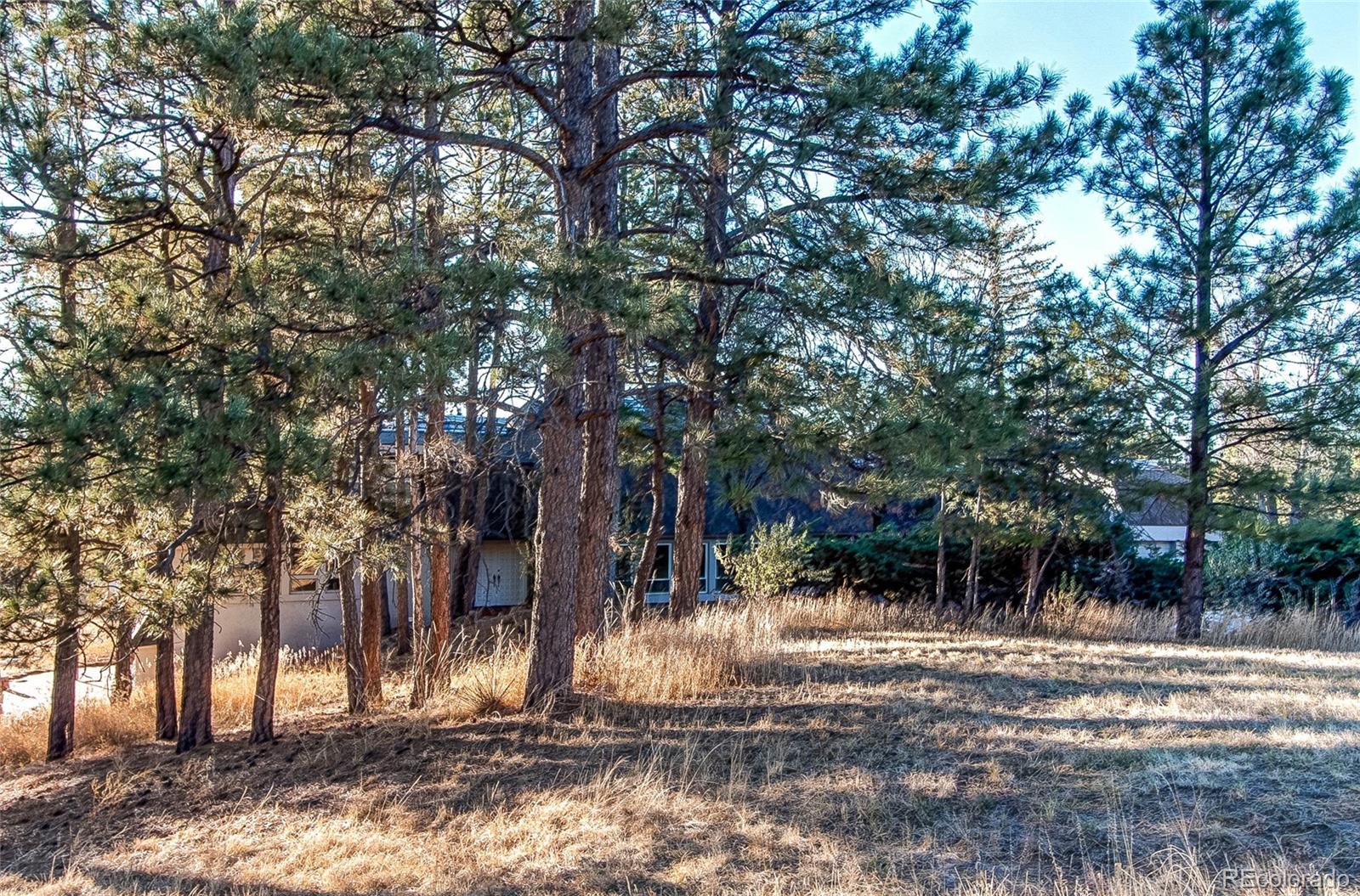 MLS Image #11 for 12191  evergreen trail,parker, Colorado