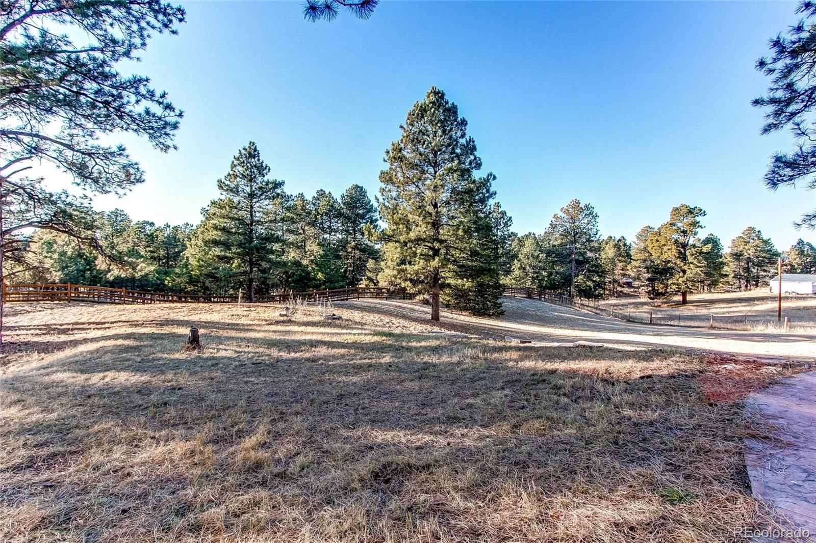 MLS Image #9 for 12191  evergreen trail,parker, Colorado