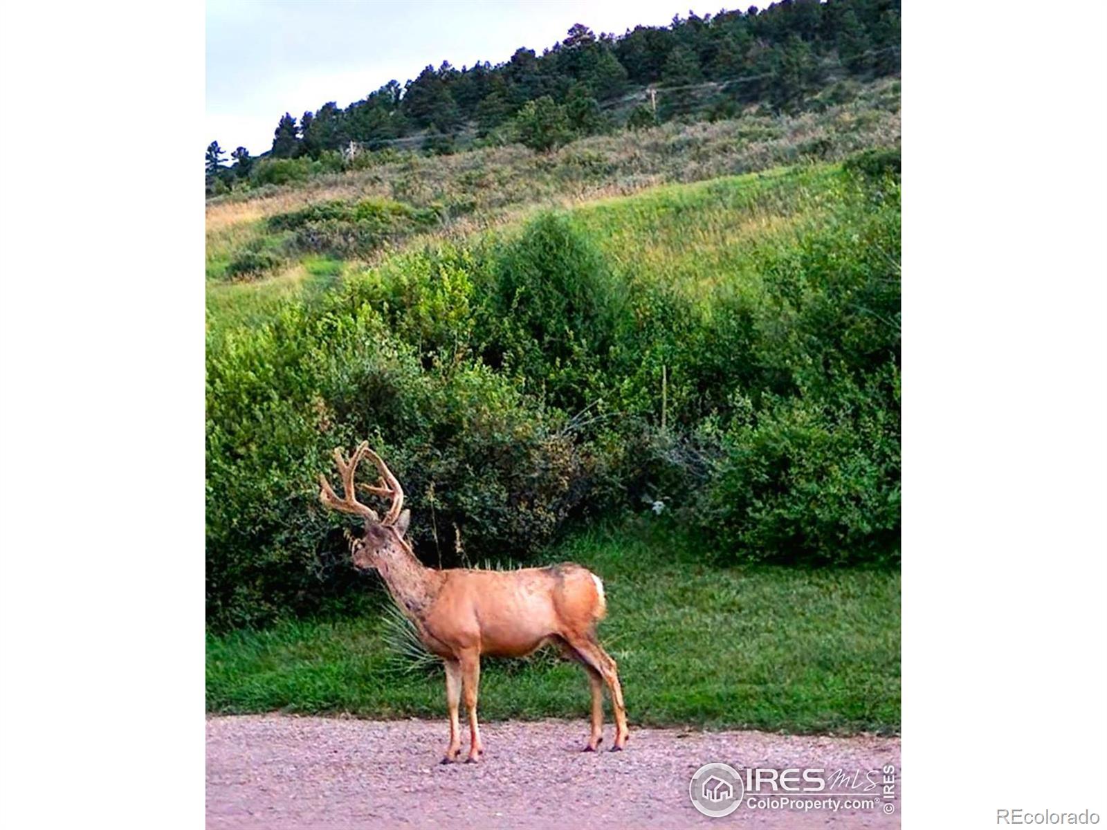 MLS Image #28 for 1525 w highway 34 ,loveland, Colorado