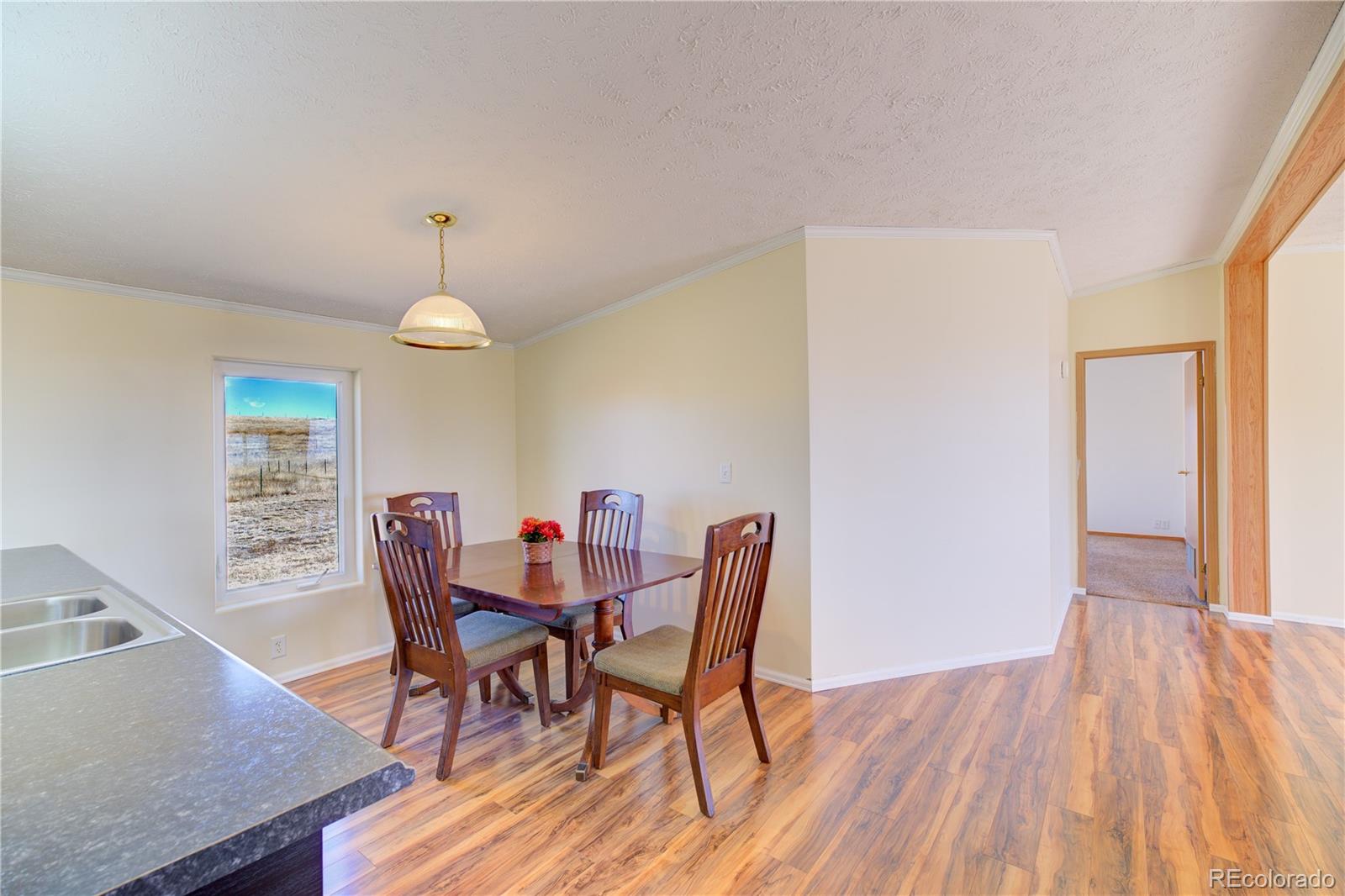 MLS Image #25 for 29755  wilkerson view,calhan, Colorado