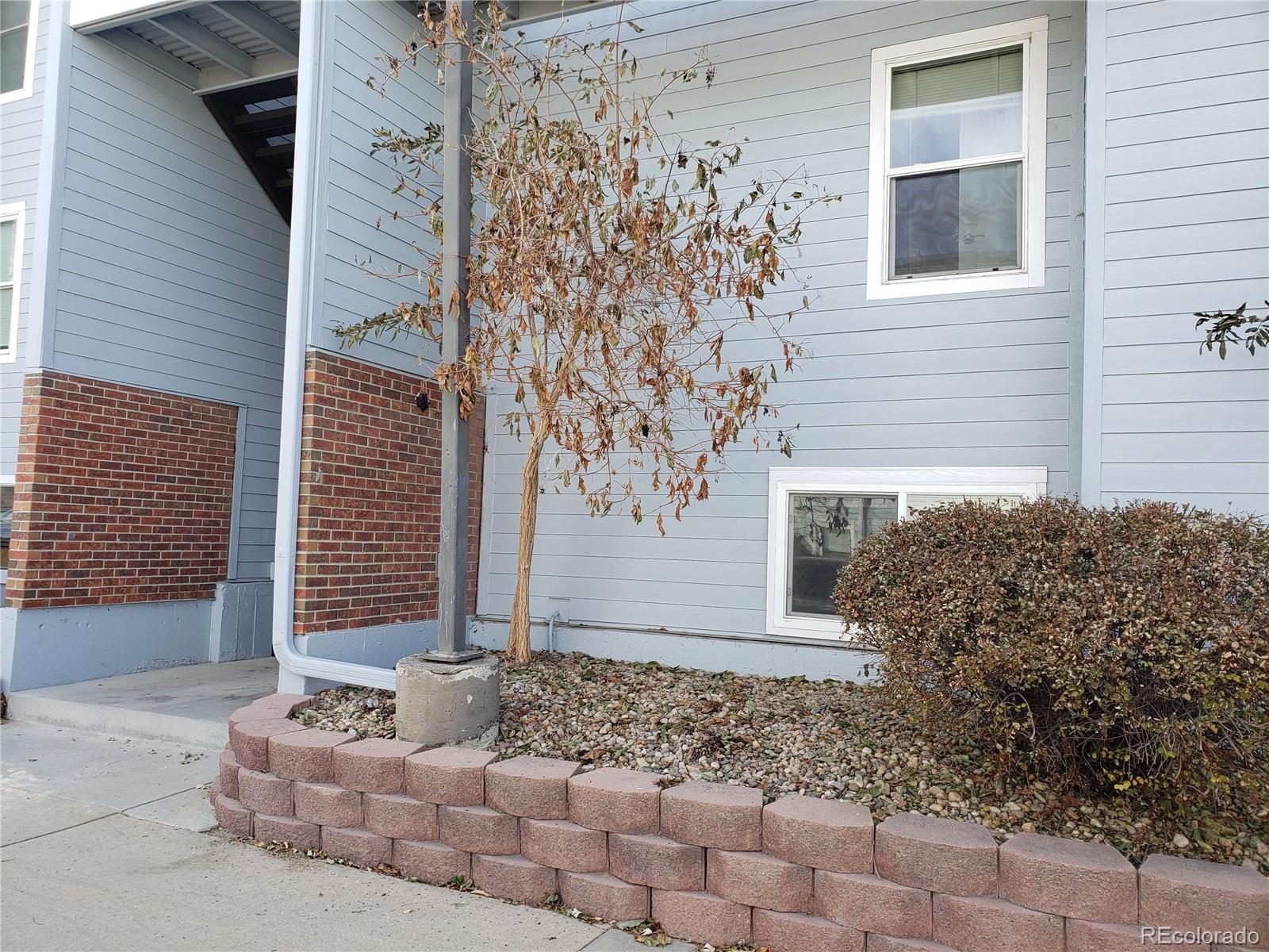 MLS Image #3 for 3141 s tamarac drive f105,denver, Colorado