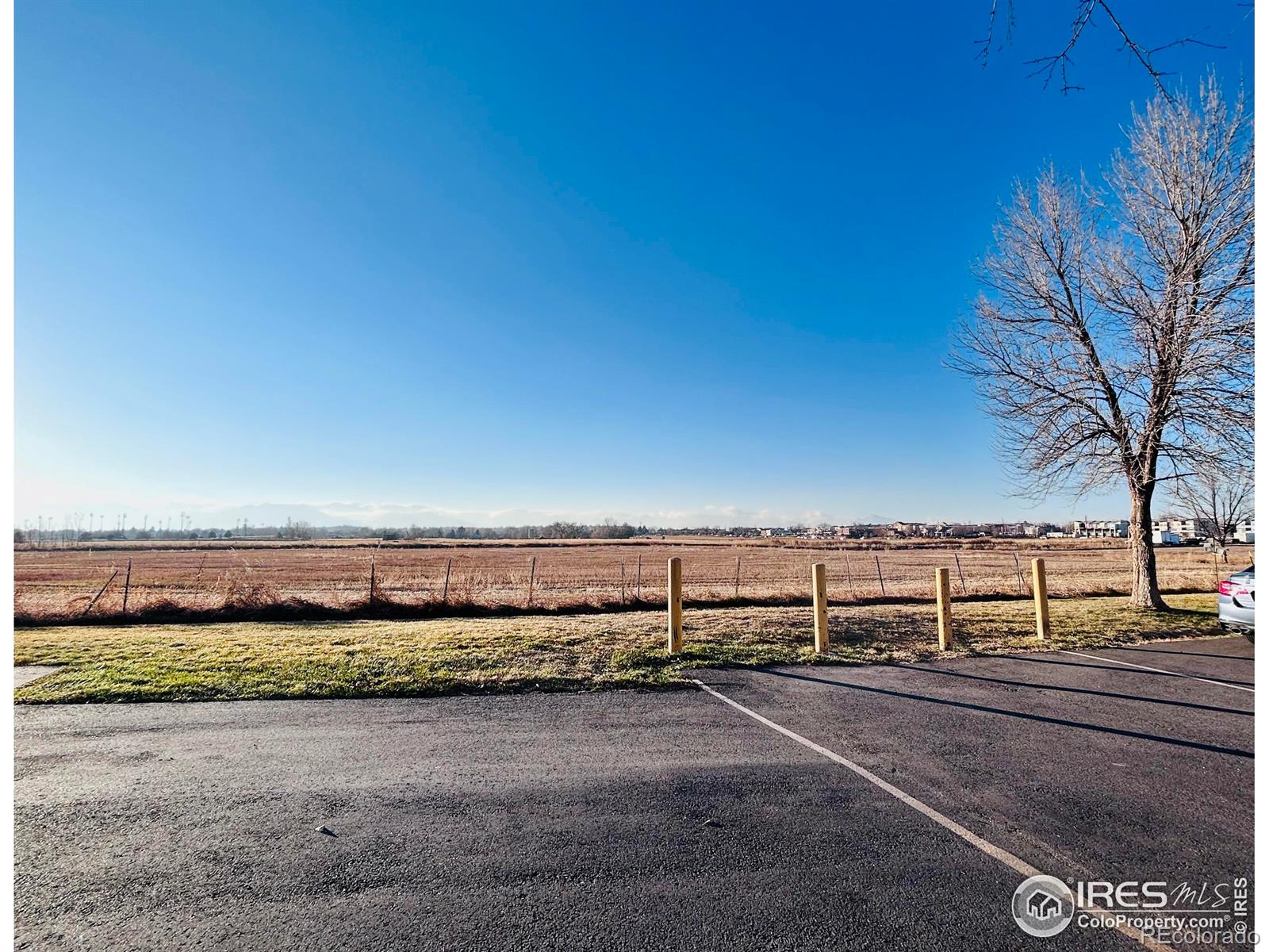 Report Image for 2031  Gyros Circle,Lafayette, Colorado