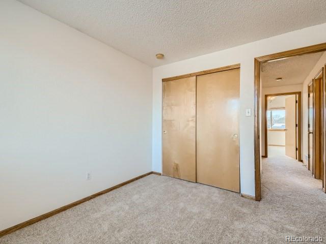 MLS Image #18 for 12187  hudson court,thornton, Colorado