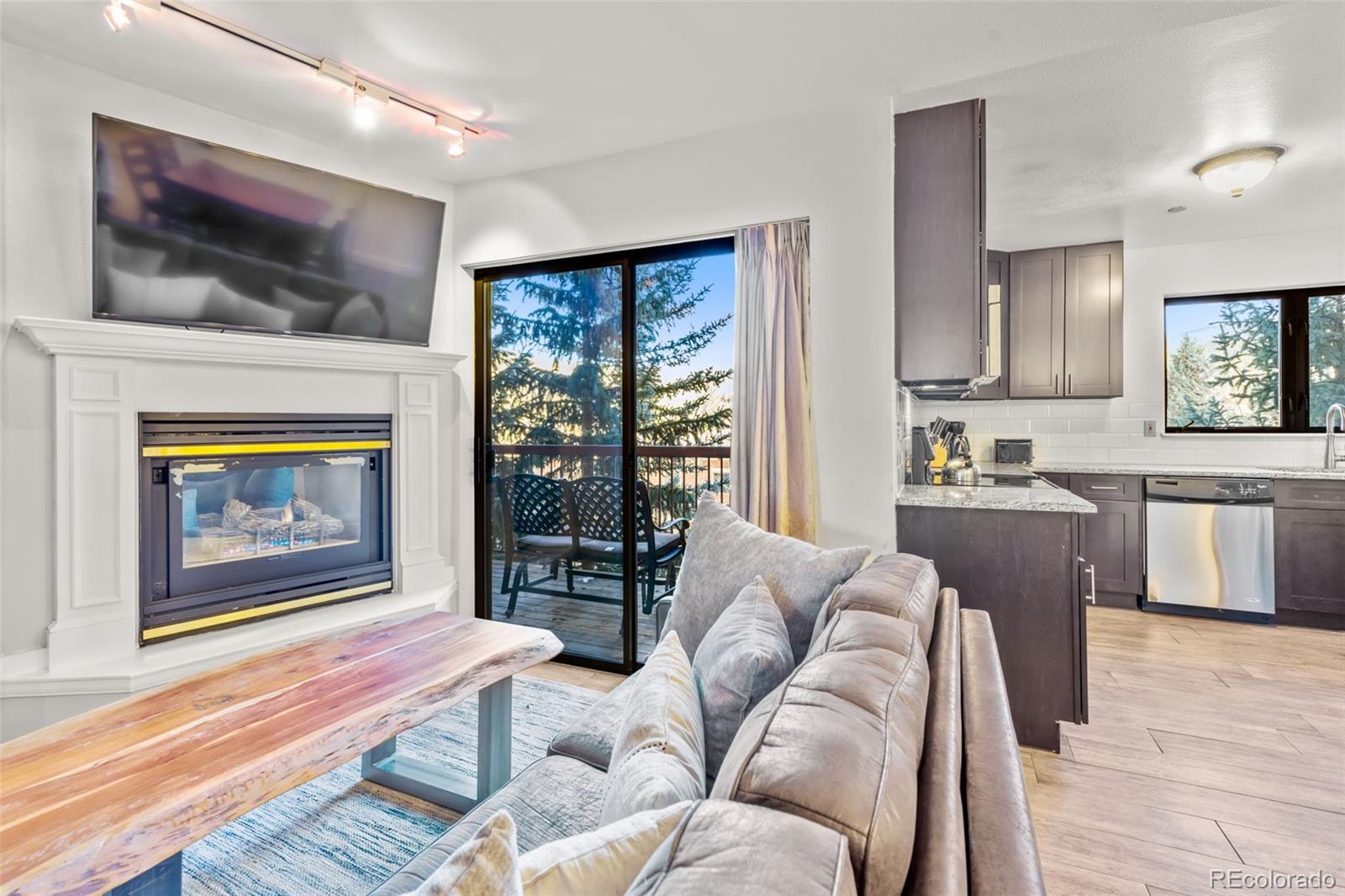 MLS Image #0 for 100 s park avenue,breckenridge, Colorado