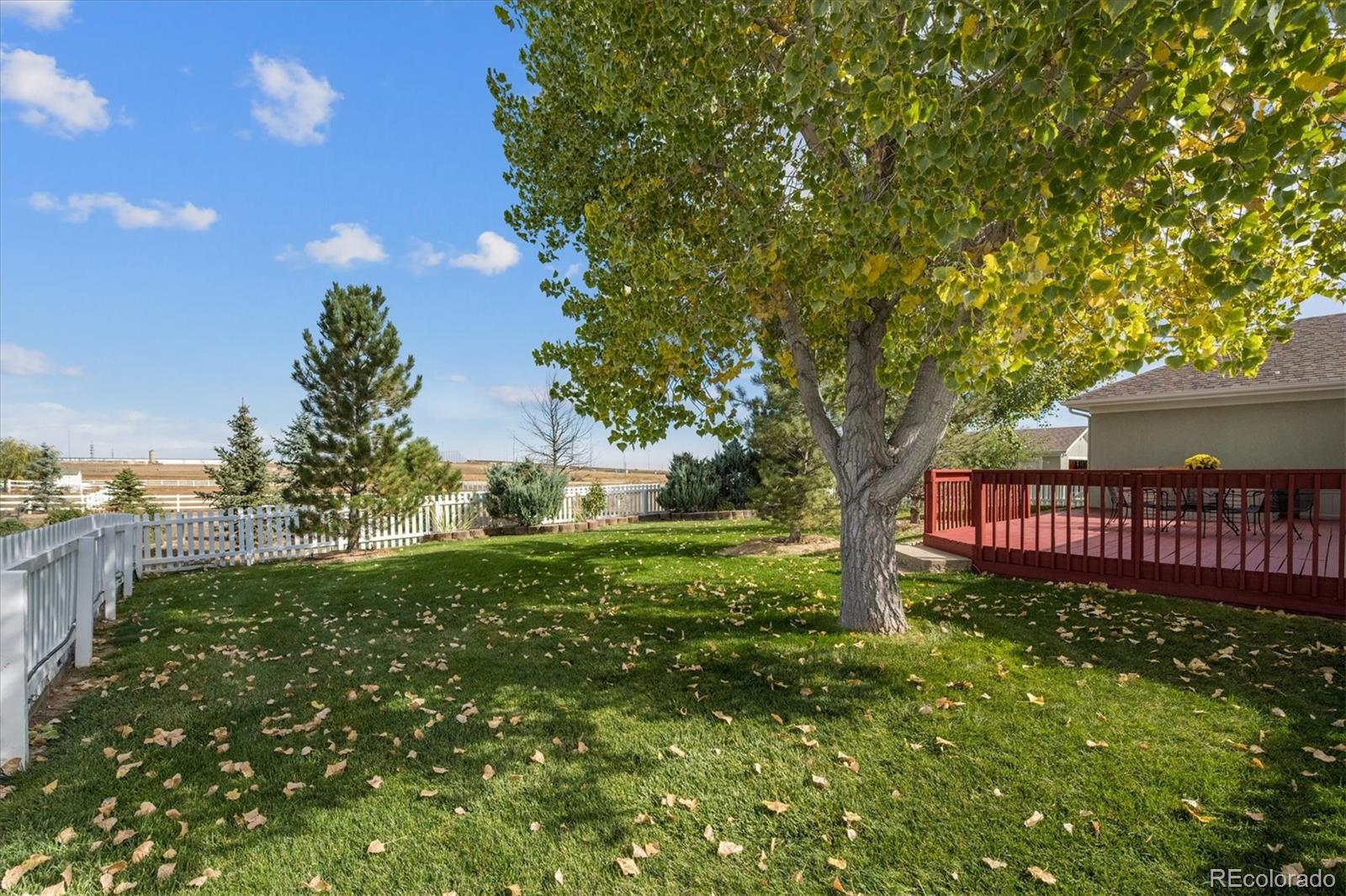 MLS Image #40 for 351 w 153rd avenue,broomfield, Colorado