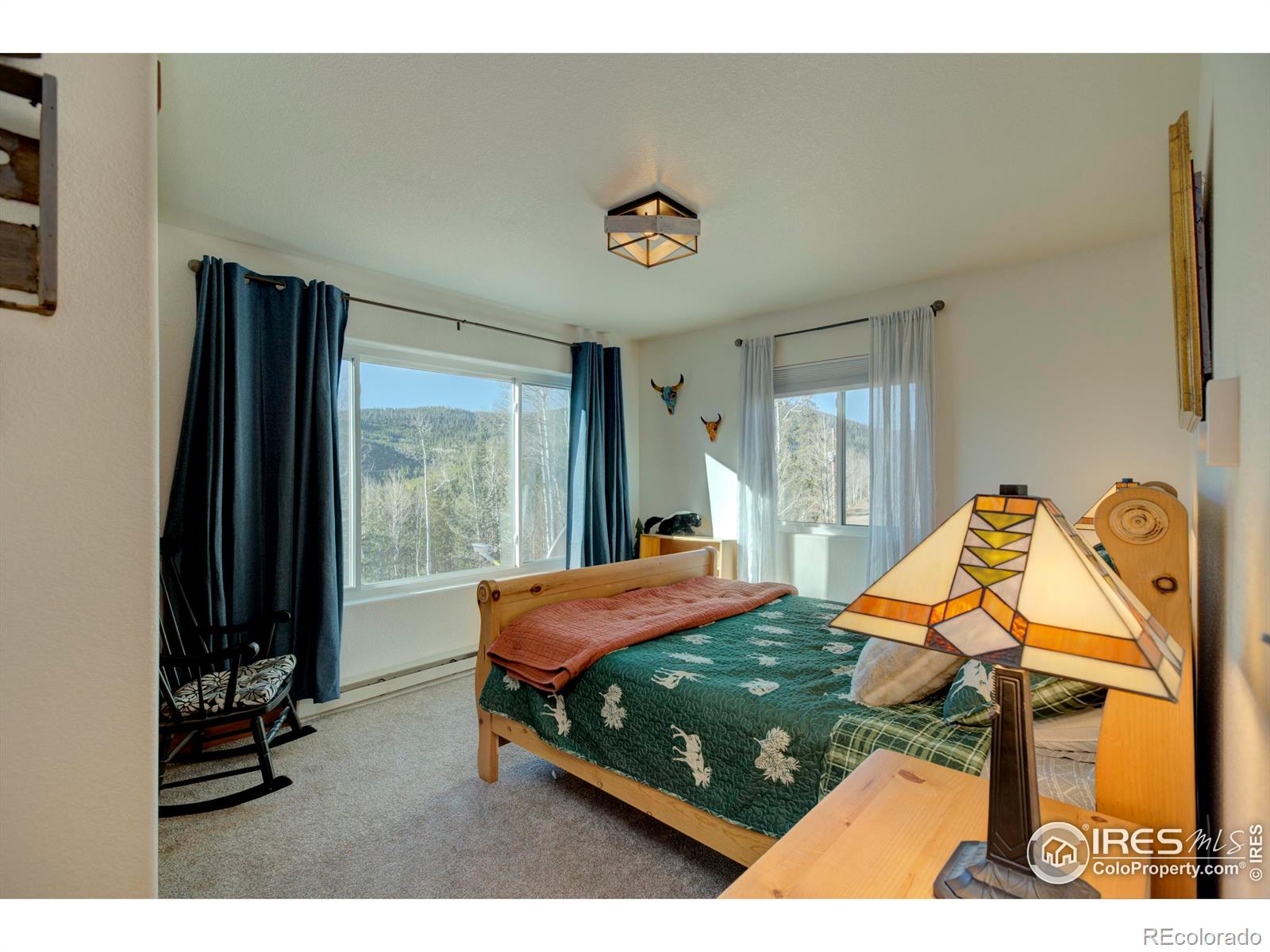 MLS Image #10 for 3689  ottawa way,red feather lakes, Colorado