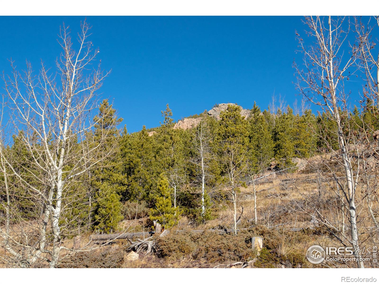 MLS Image #19 for 3689  ottawa way,red feather lakes, Colorado
