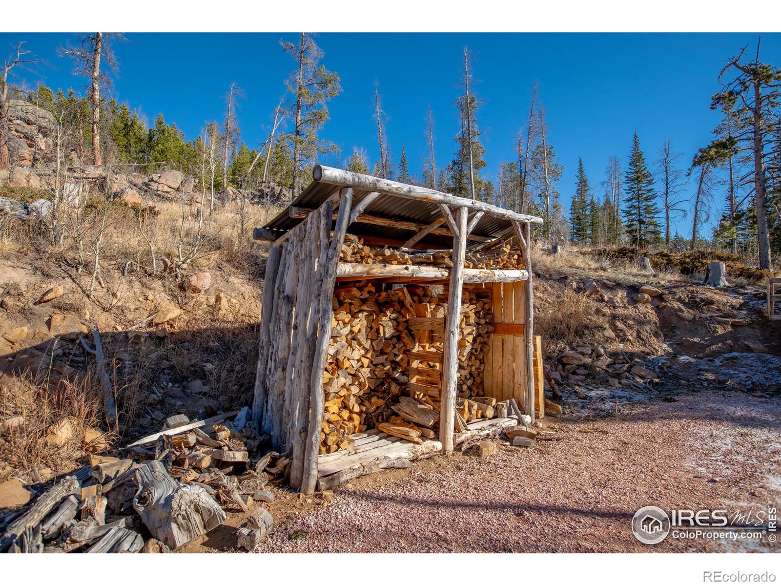 MLS Image #21 for 3689  ottawa way,red feather lakes, Colorado
