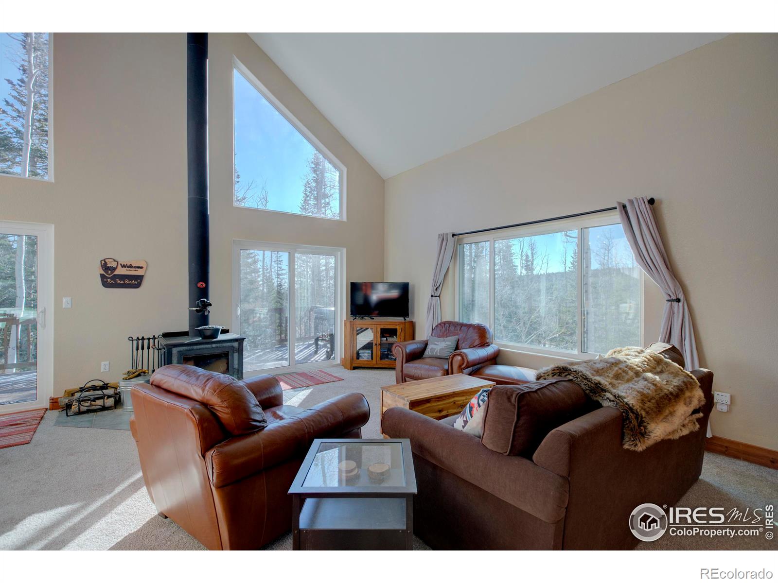 MLS Image #5 for 3689  ottawa way,red feather lakes, Colorado