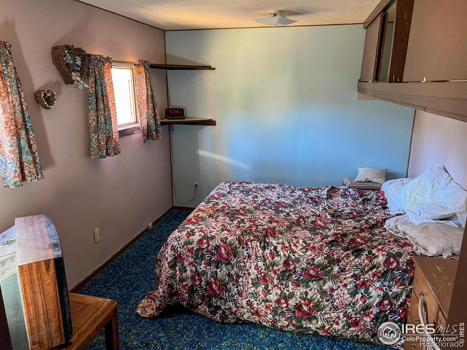 MLS Image #12 for 124  big pine lane,drake, Colorado