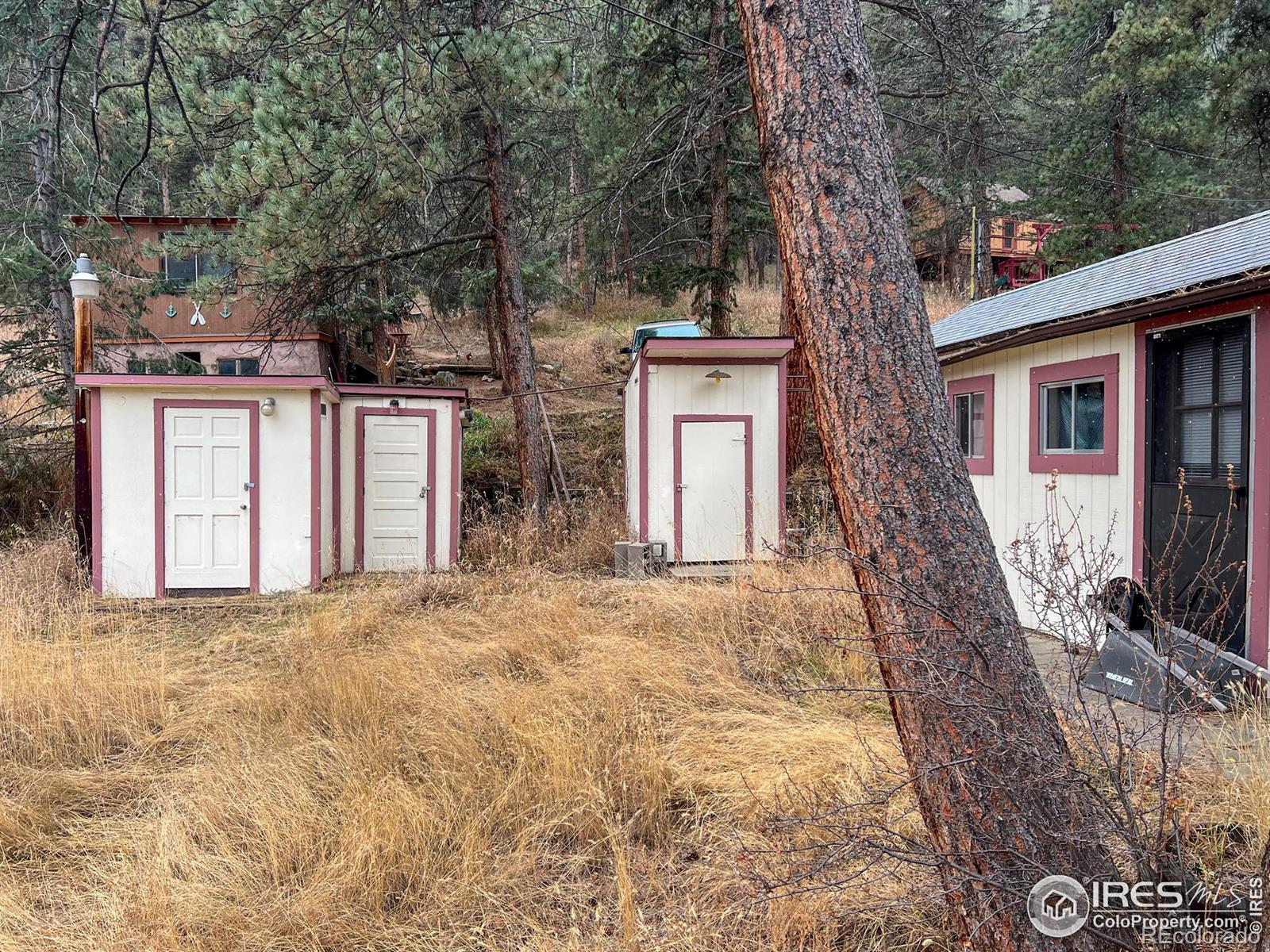 MLS Image #15 for 124  big pine lane,drake, Colorado