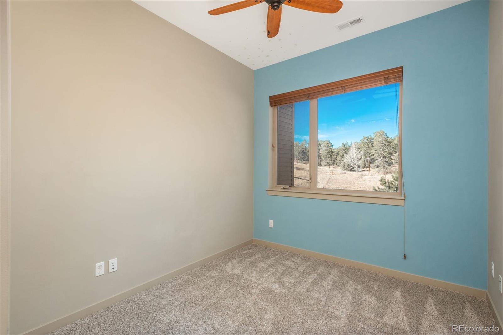 MLS Image #22 for 28505  tepees way,evergreen, Colorado