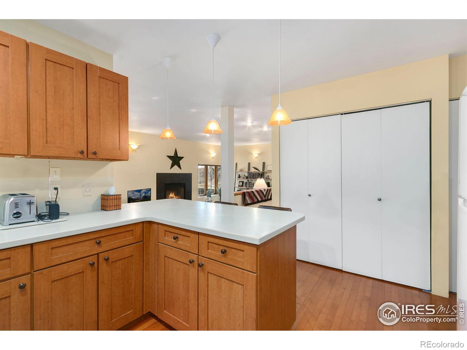 MLS Image #14 for 1064  sailors reef ,fort collins, Colorado