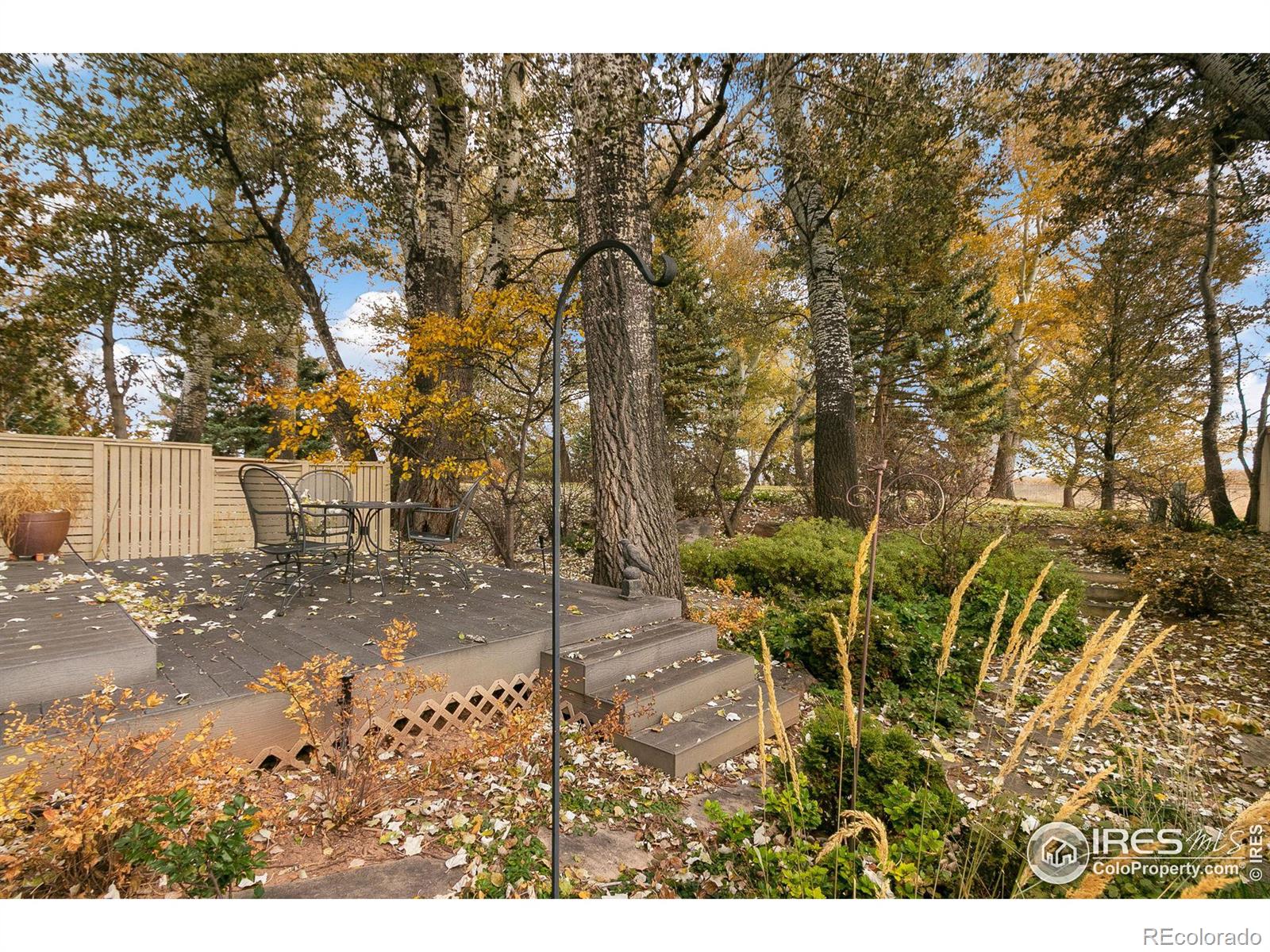 MLS Image #25 for 1064  sailors reef ,fort collins, Colorado