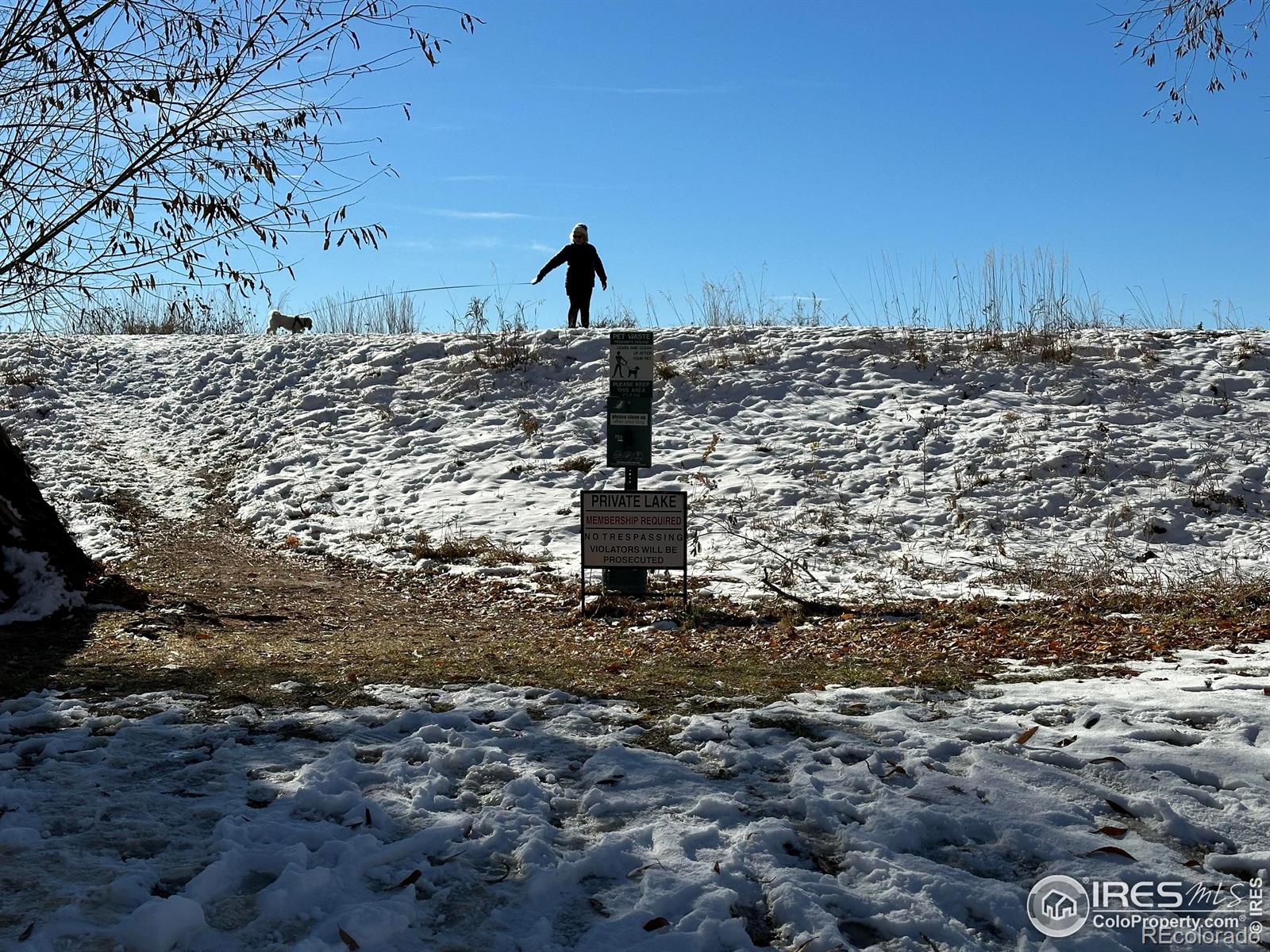 MLS Image #30 for 1064  sailors reef ,fort collins, Colorado