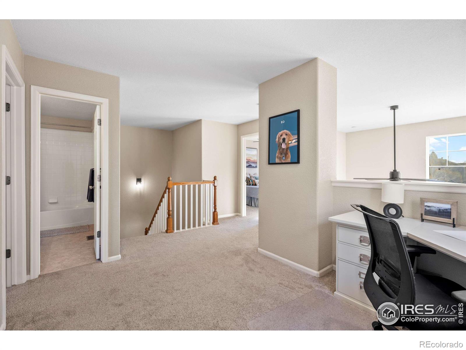 MLS Image #16 for 2756  county fair lane,fort collins, Colorado