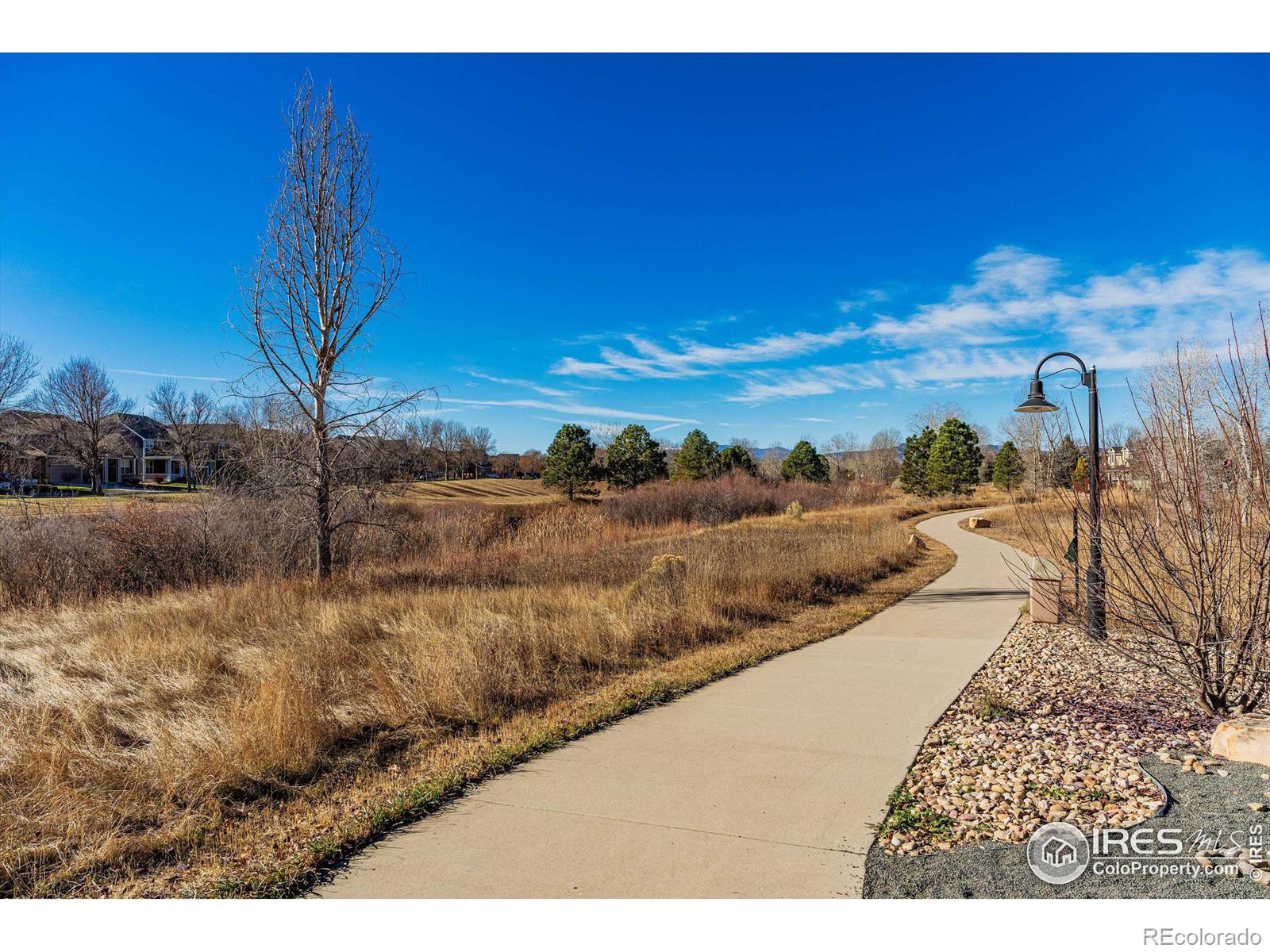 MLS Image #37 for 2756  county fair lane,fort collins, Colorado