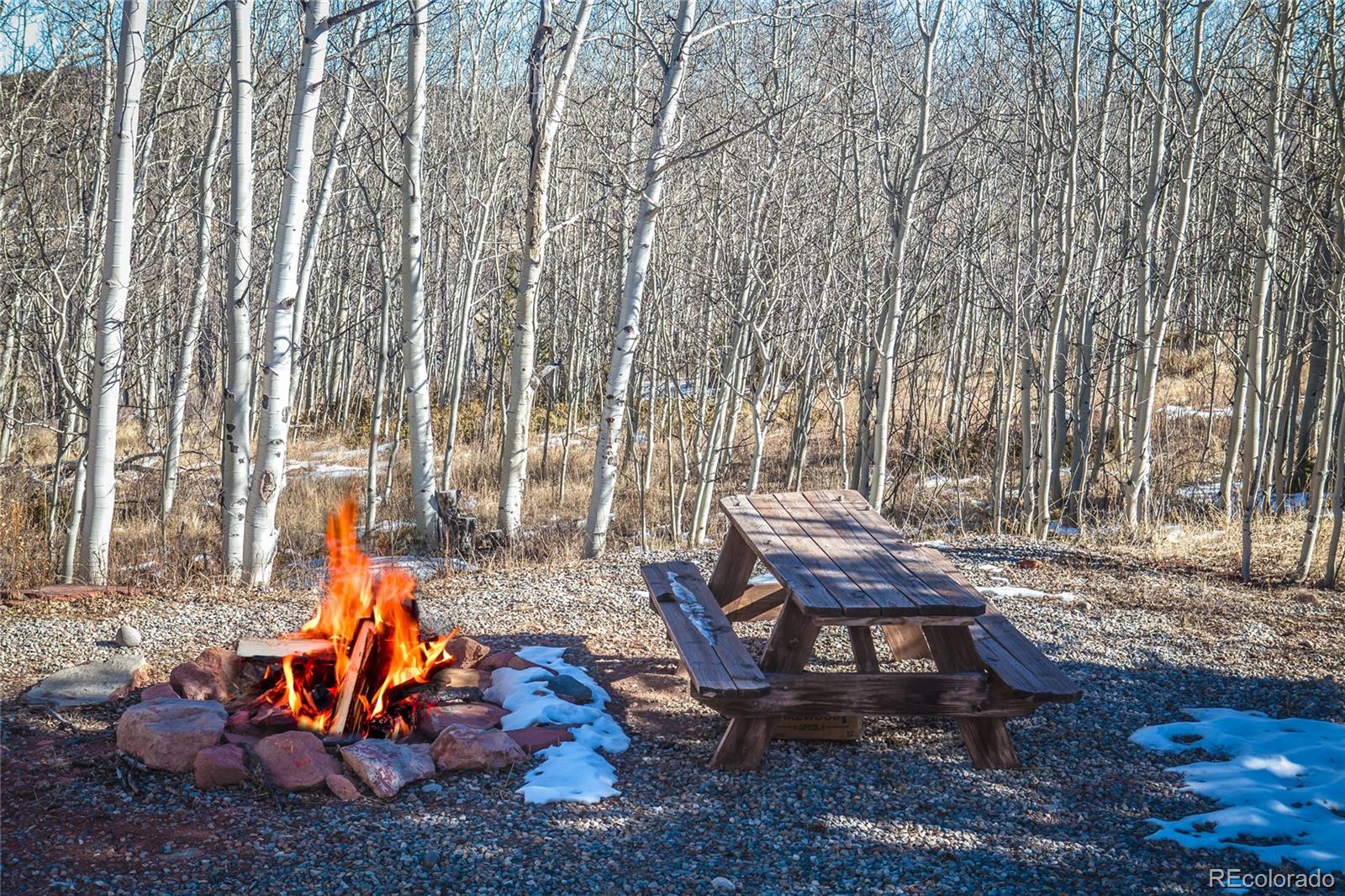 MLS Image #19 for 92  sawmill lane,fairplay, Colorado