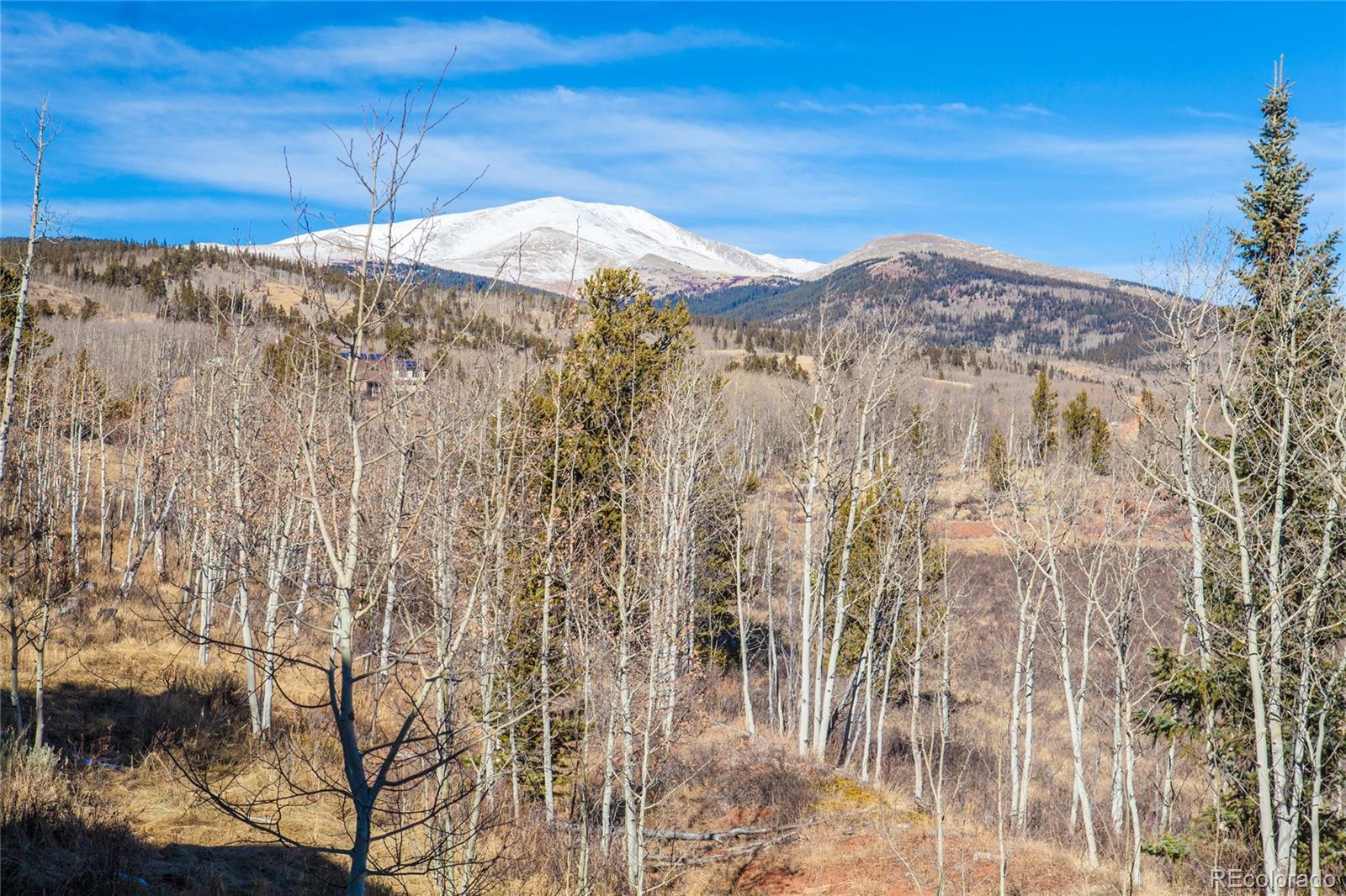 MLS Image #29 for 92  sawmill lane,fairplay, Colorado