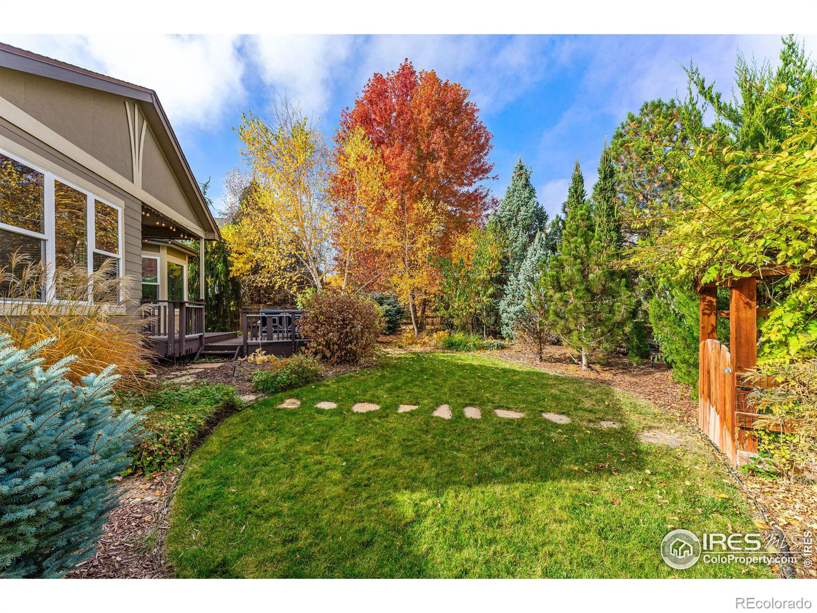 MLS Image #32 for 2771  odell drive,erie, Colorado