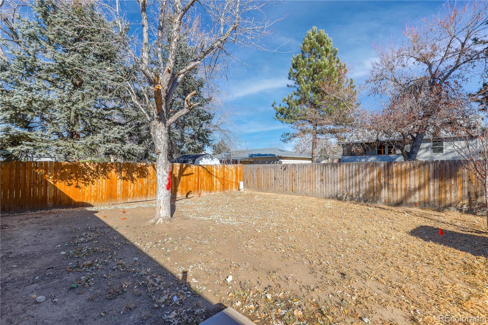 MLS Image #19 for 5032  titan way,denver, Colorado