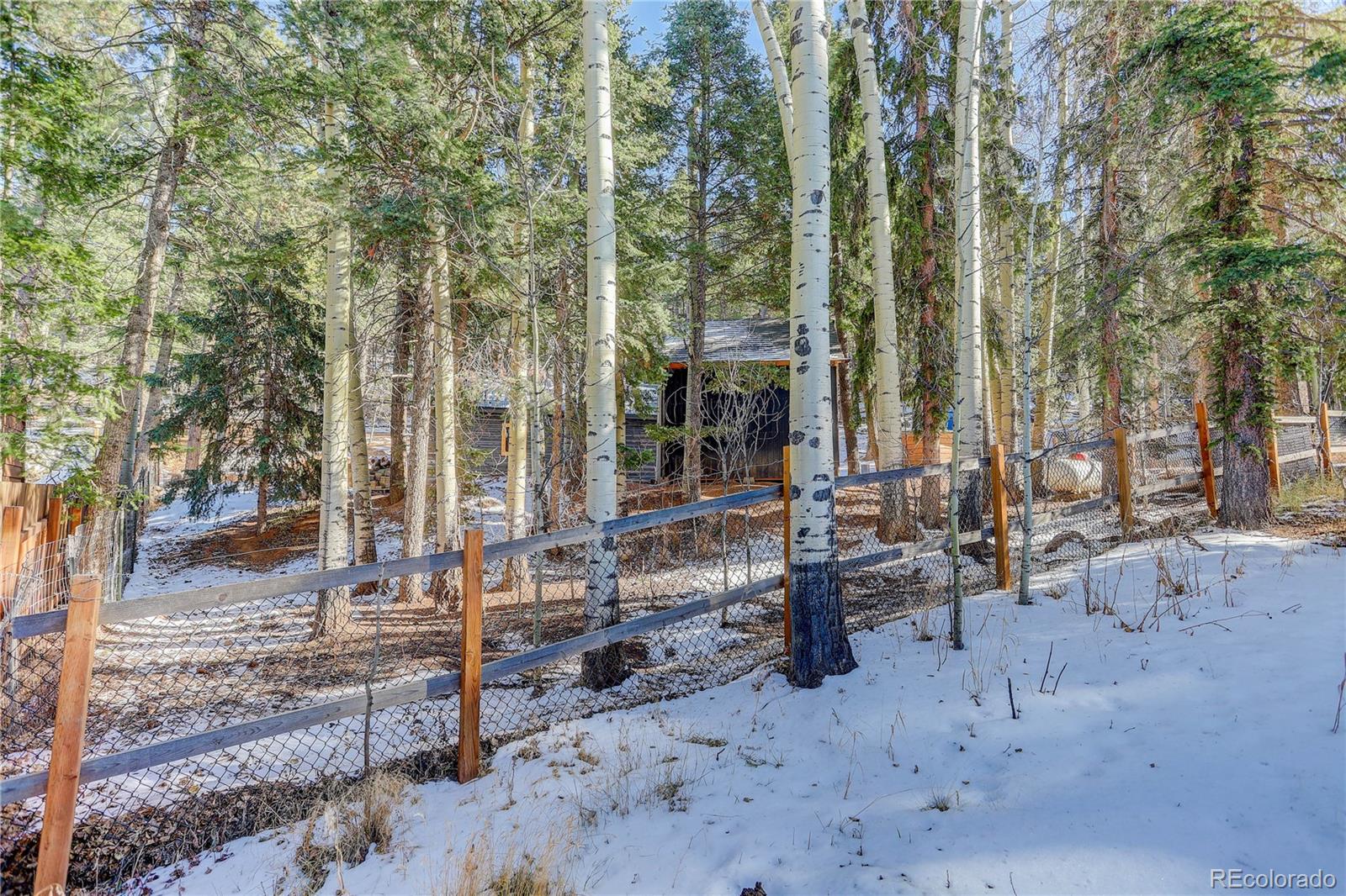 MLS Image #20 for 135  squilchuck trail,woodland park, Colorado