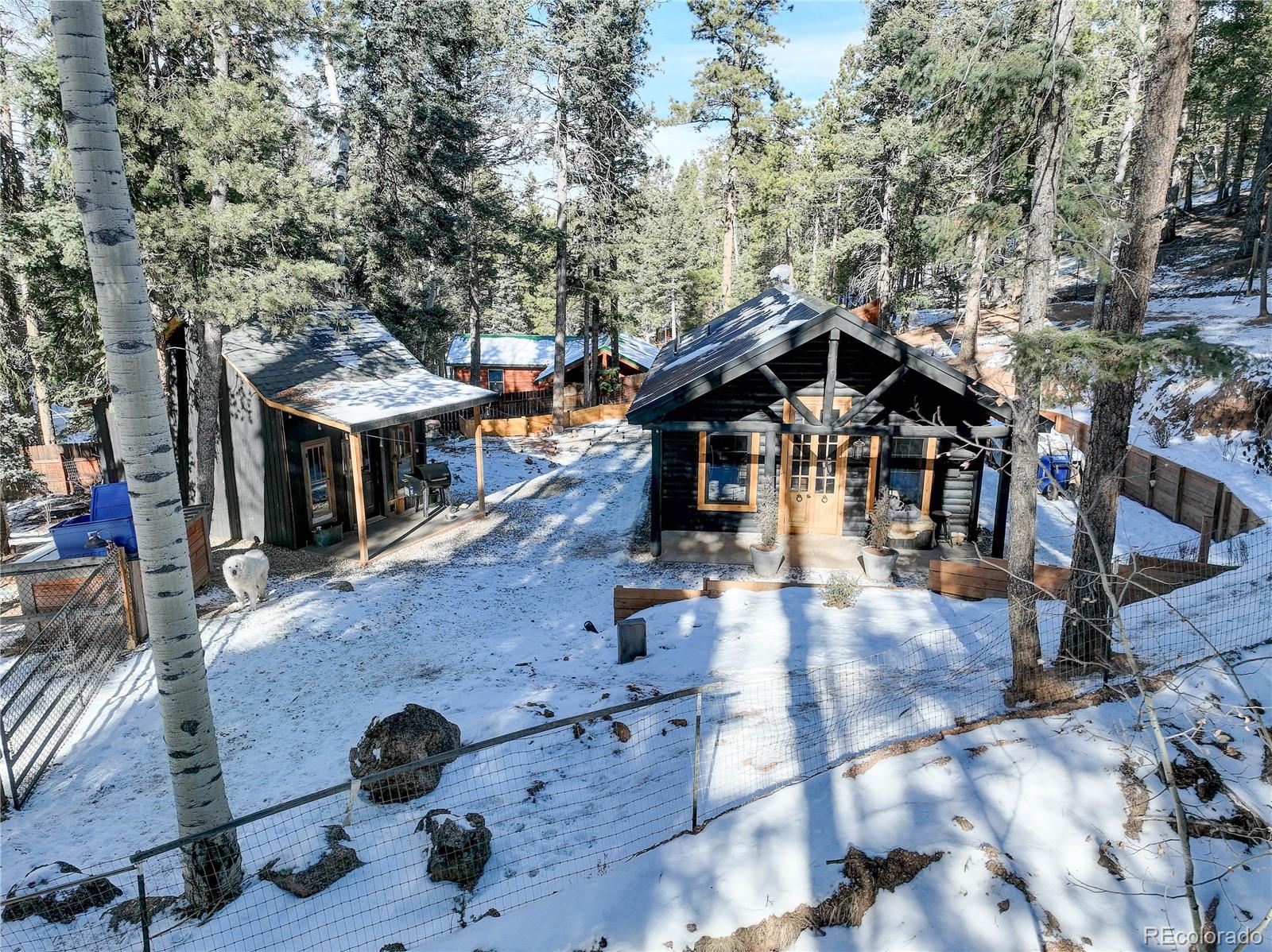 MLS Image #21 for 135  squilchuck trail,woodland park, Colorado