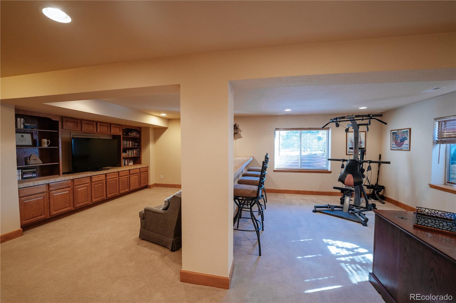 MLS Image #19 for 20158  aintree court,parker, Colorado