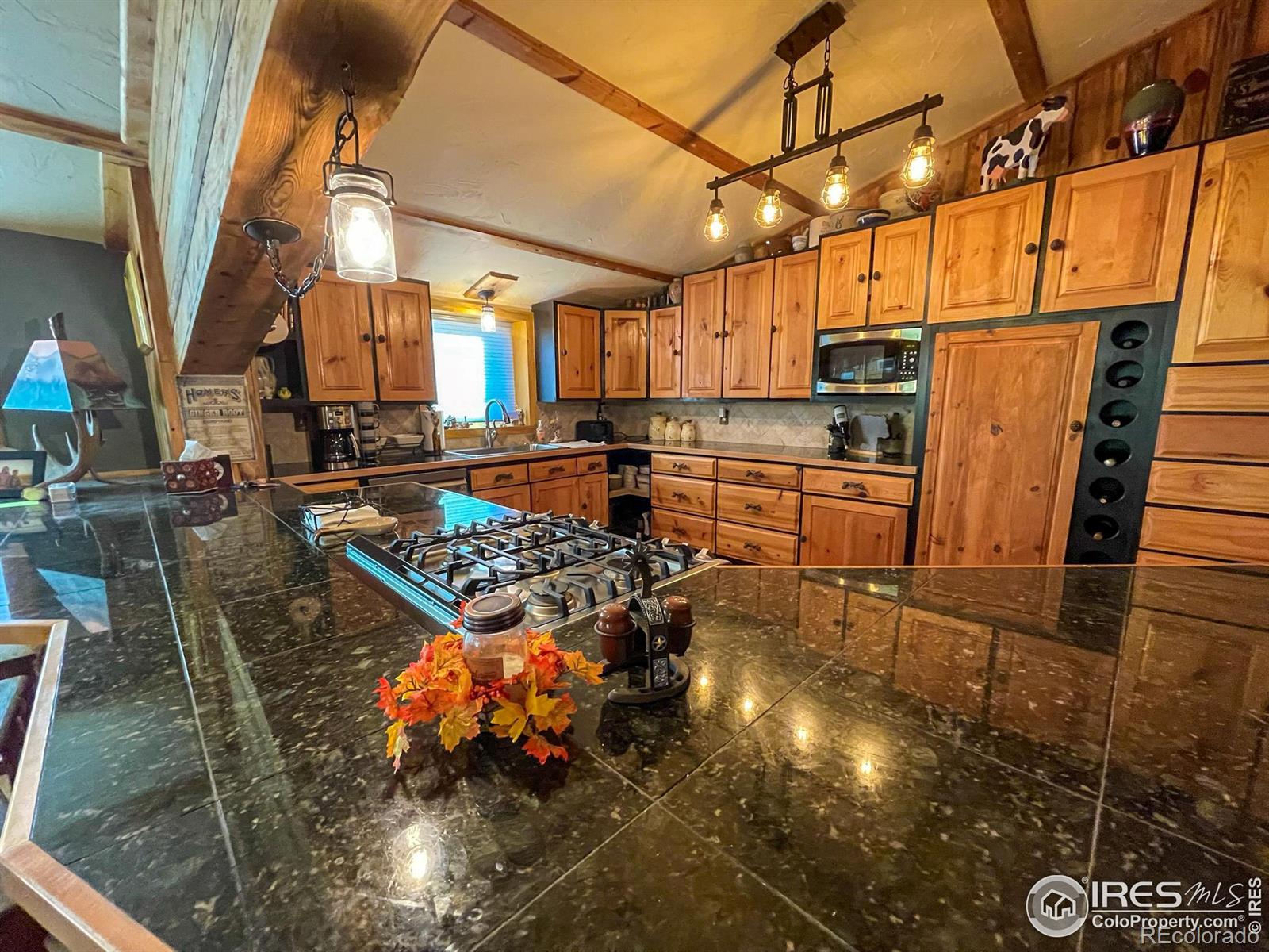 MLS Image #12 for 1448  le cook road,allenspark, Colorado