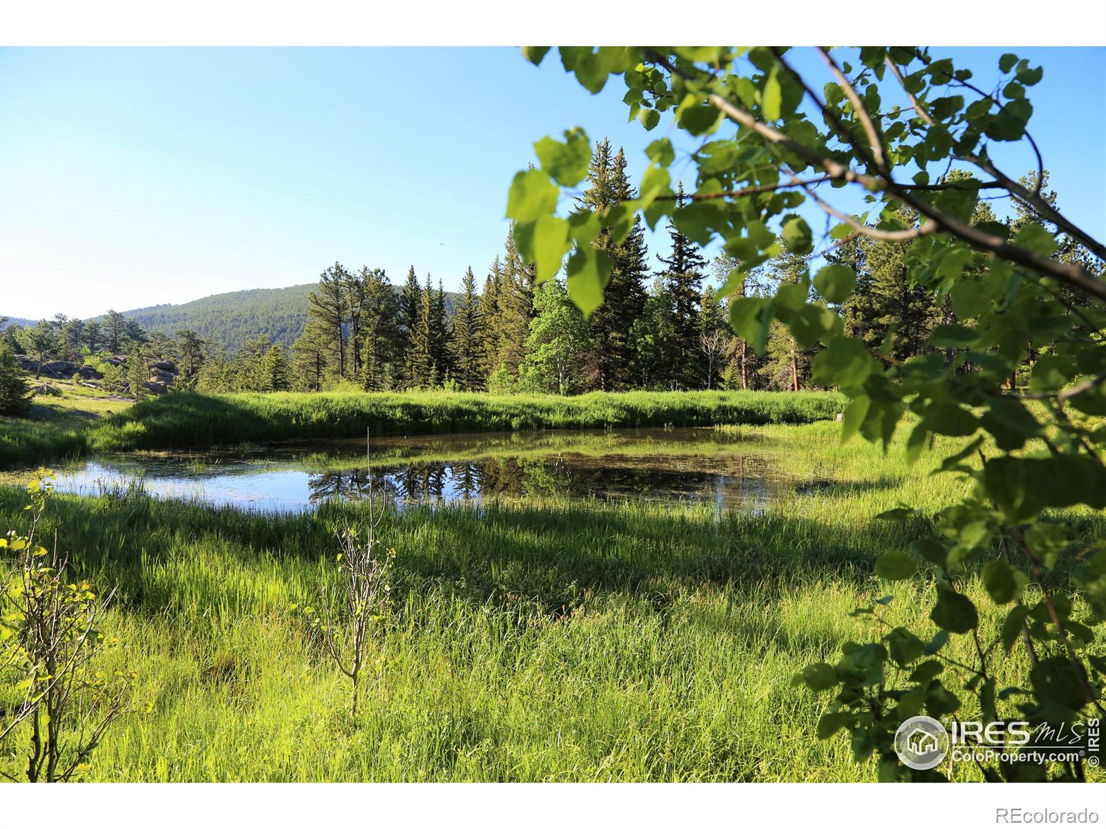 MLS Image #25 for 1448  le cook road,allenspark, Colorado