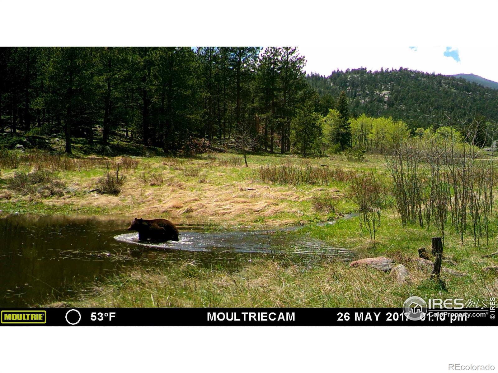 MLS Image #34 for 1448  le cook road,allenspark, Colorado