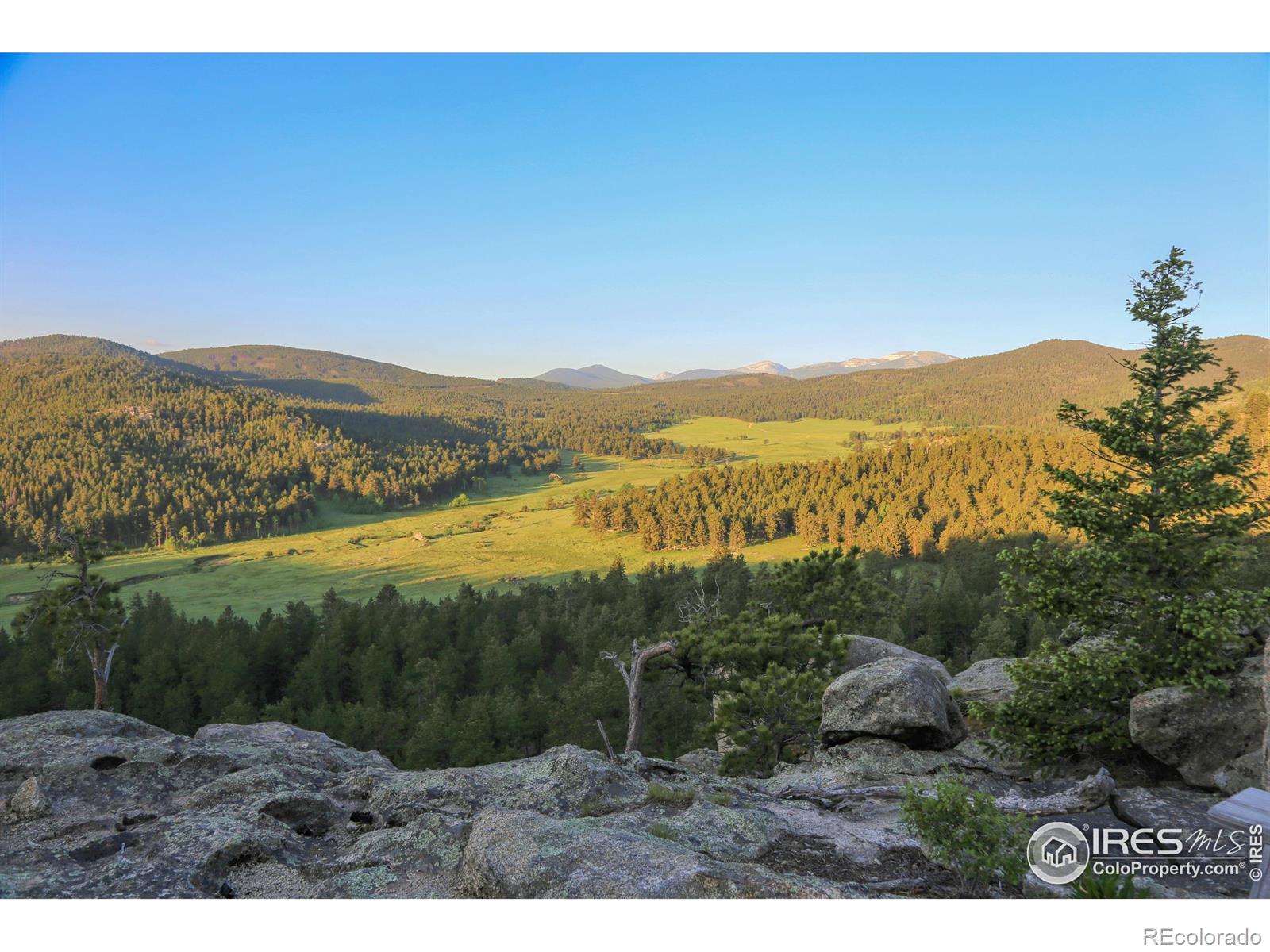 MLS Image #4 for 1448  le cook road,allenspark, Colorado