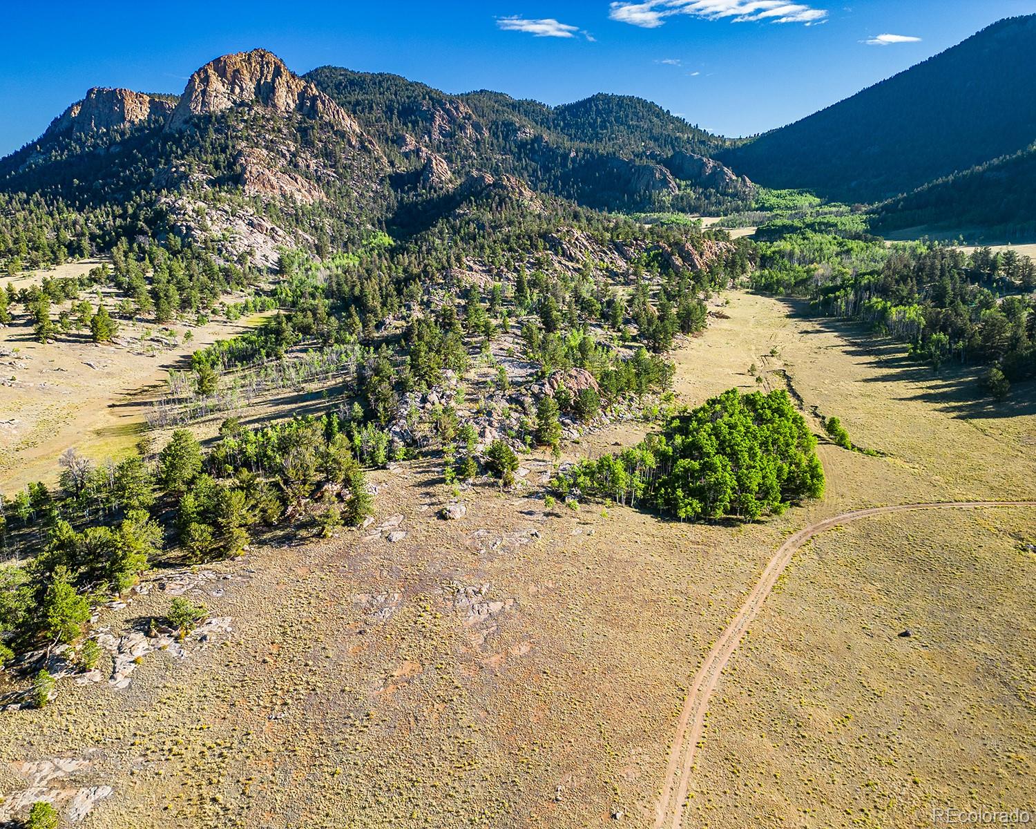 MLS Image #0 for 2339  county road 92 ,lake george, Colorado