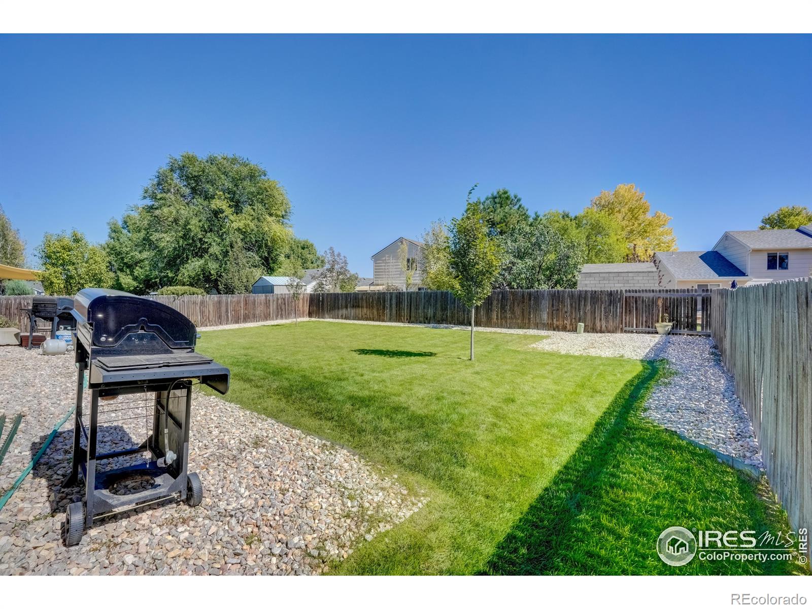 MLS Image #31 for 1504  pinewood court,longmont, Colorado