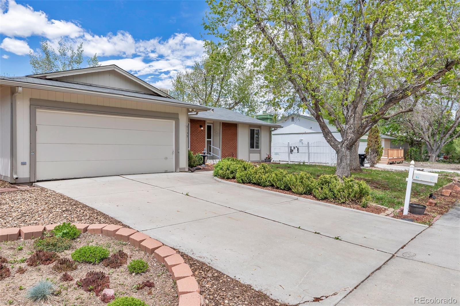 CMA Image for 6739  ingalls street,Arvada, Colorado