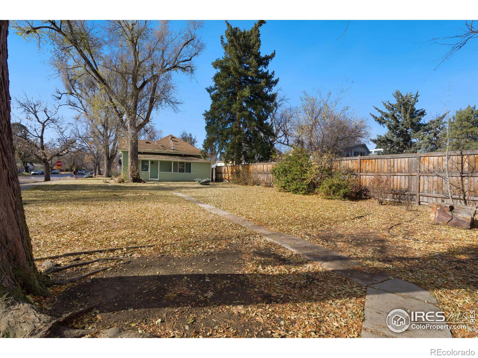 MLS Image #19 for 228  whedbee street,fort collins, Colorado