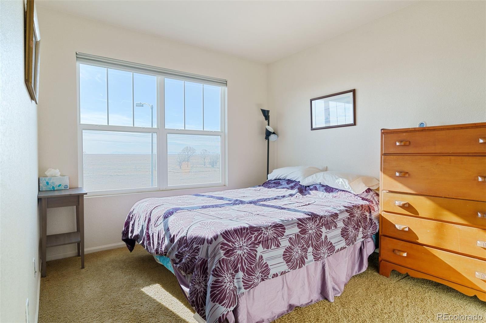 MLS Image #22 for 15612 e 96th way,commerce city, Colorado