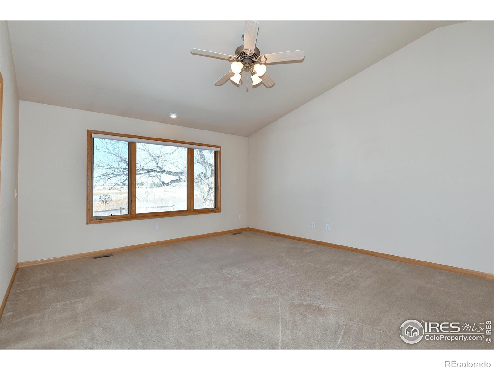 MLS Image #21 for 257  camino del mundo ,fort collins, Colorado