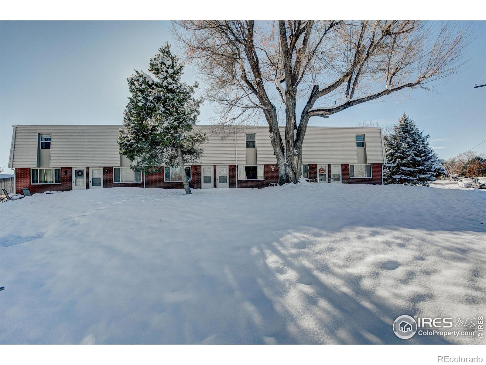 MLS Image #0 for 219  chestnut street,windsor, Colorado