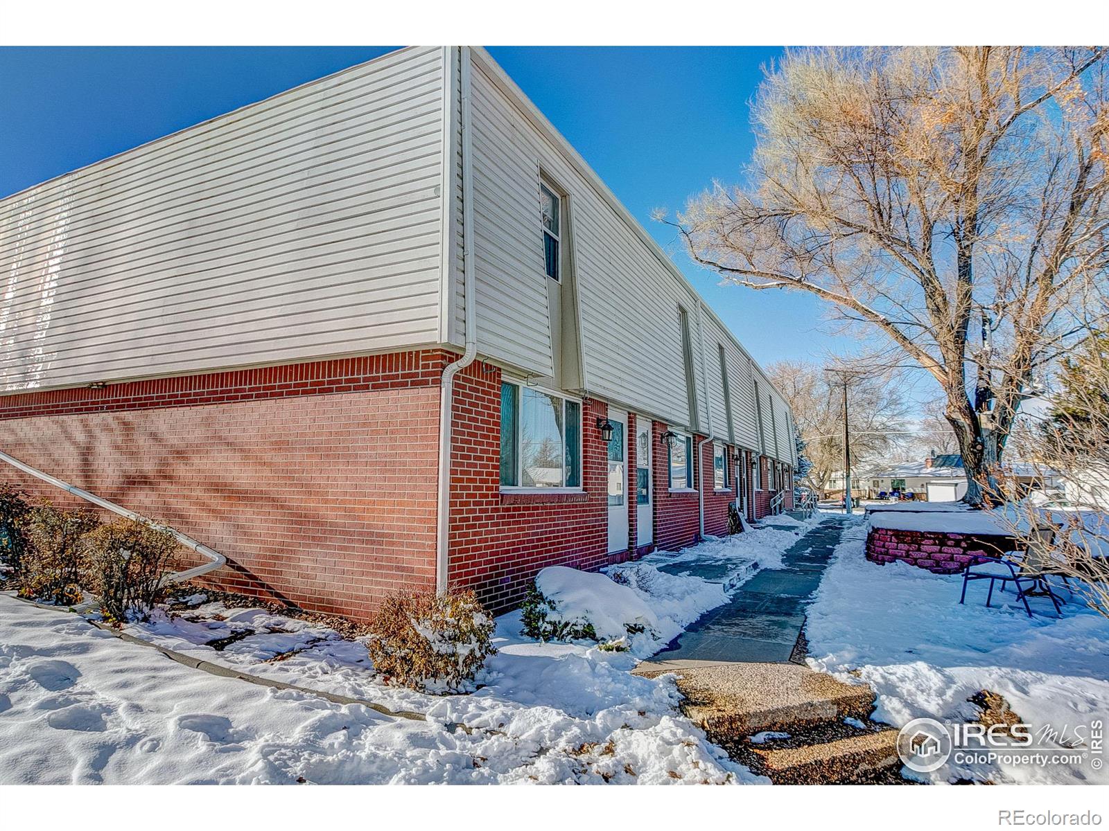 MLS Image #1 for 219  chestnut street,windsor, Colorado