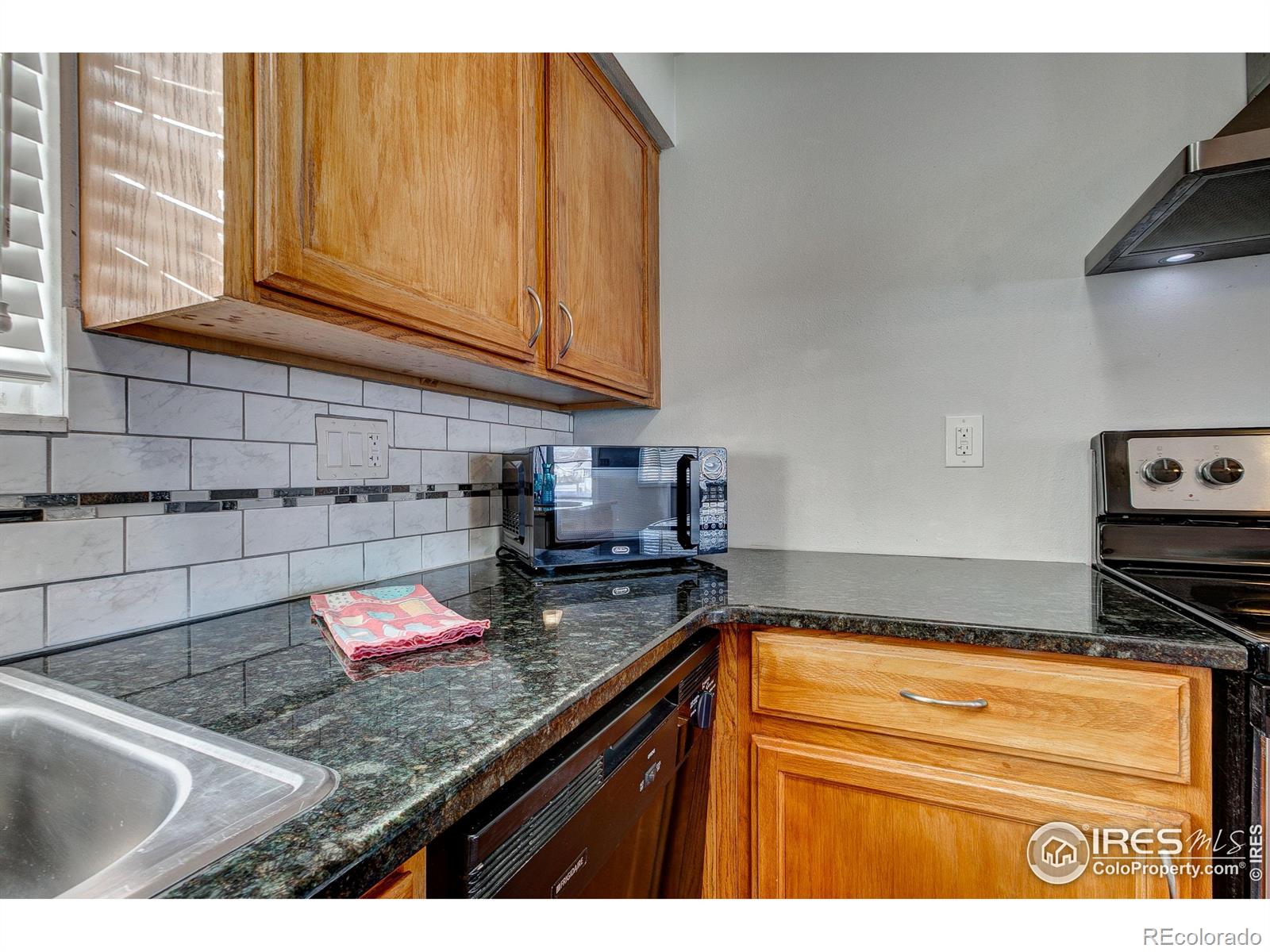 MLS Image #14 for 219  chestnut street,windsor, Colorado